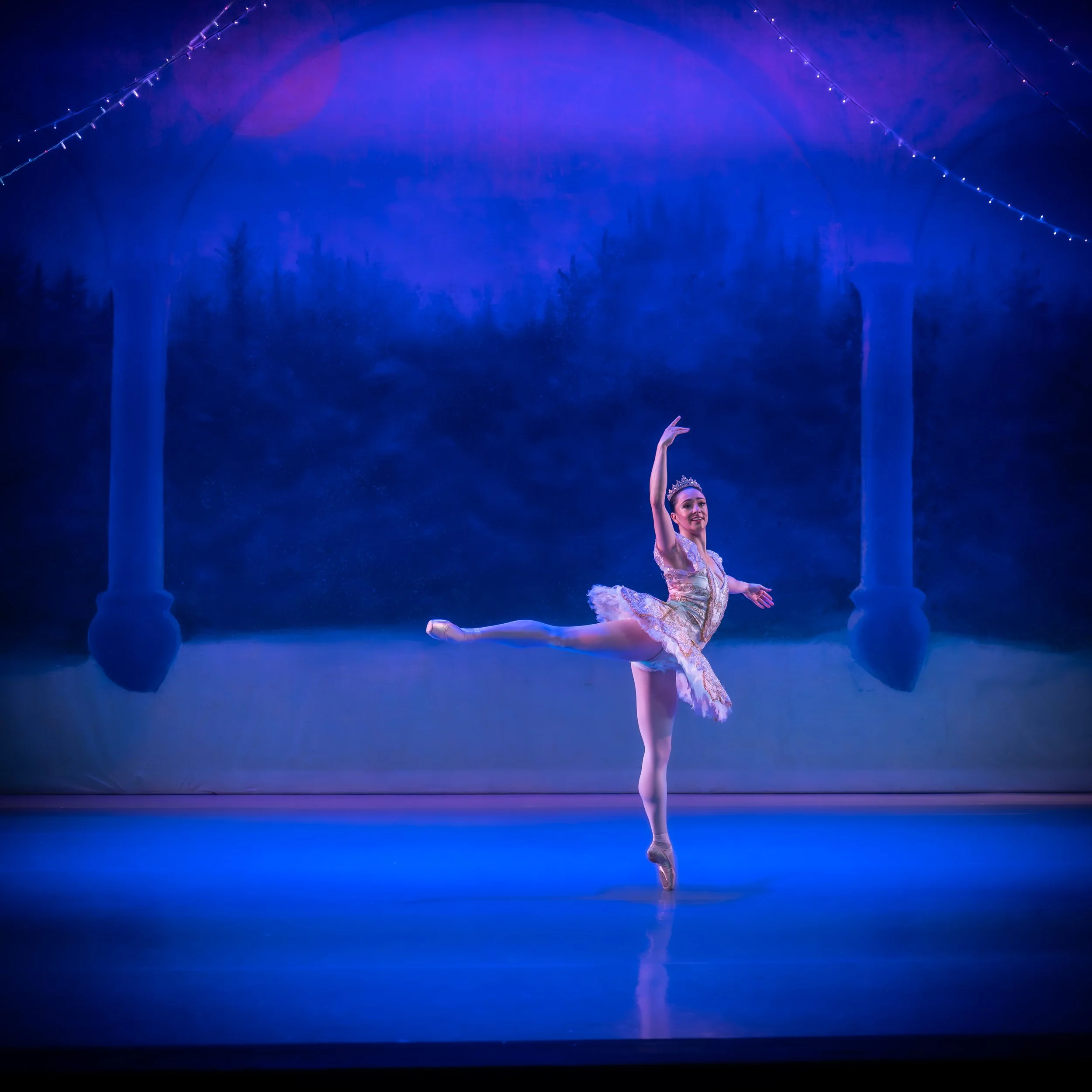 Sugar Plum-square-vingette-1.jpg