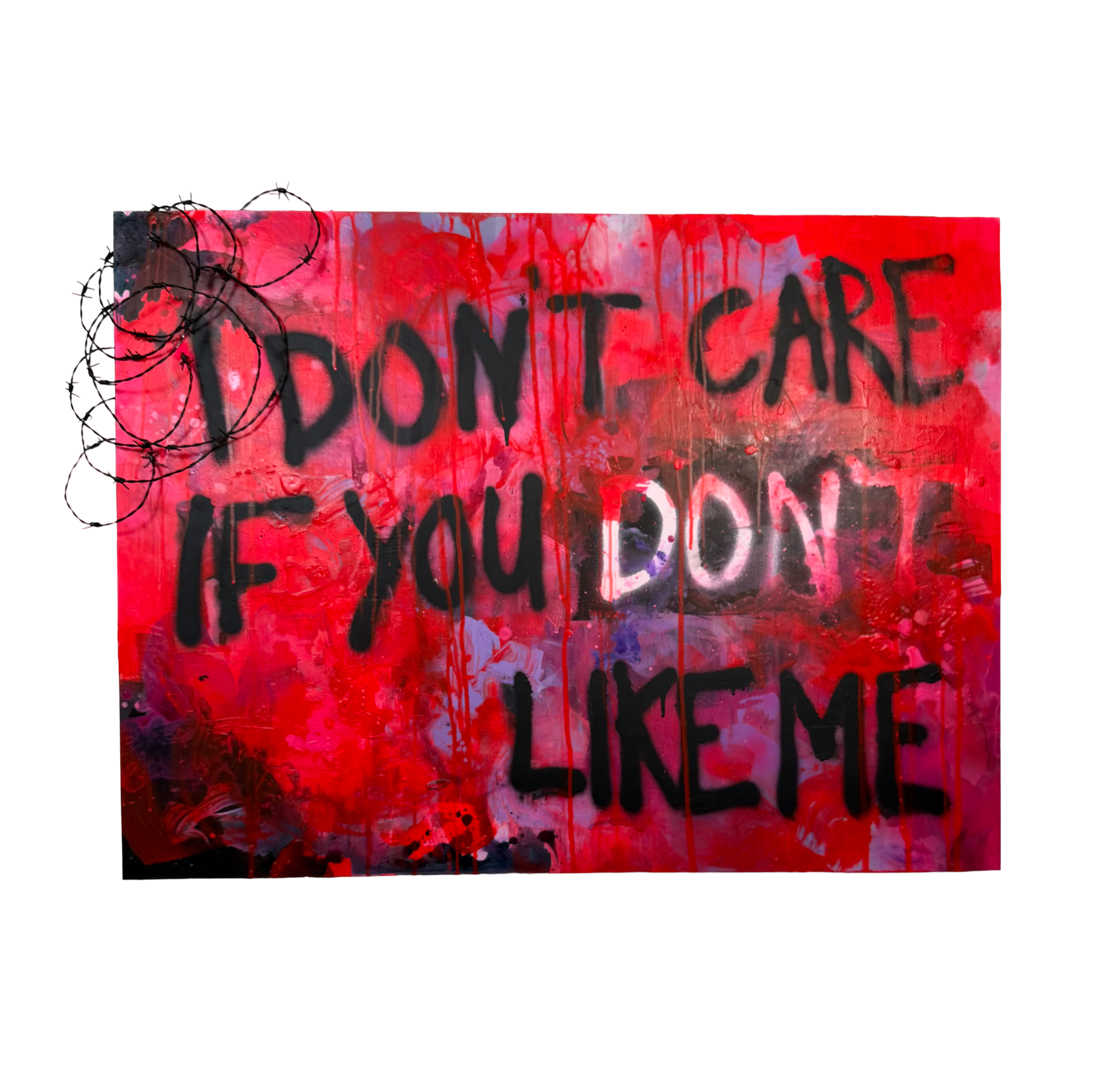 I don't care if you don't like me