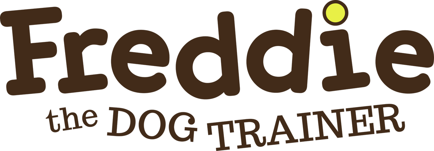 Freddie the Dog Trainer
