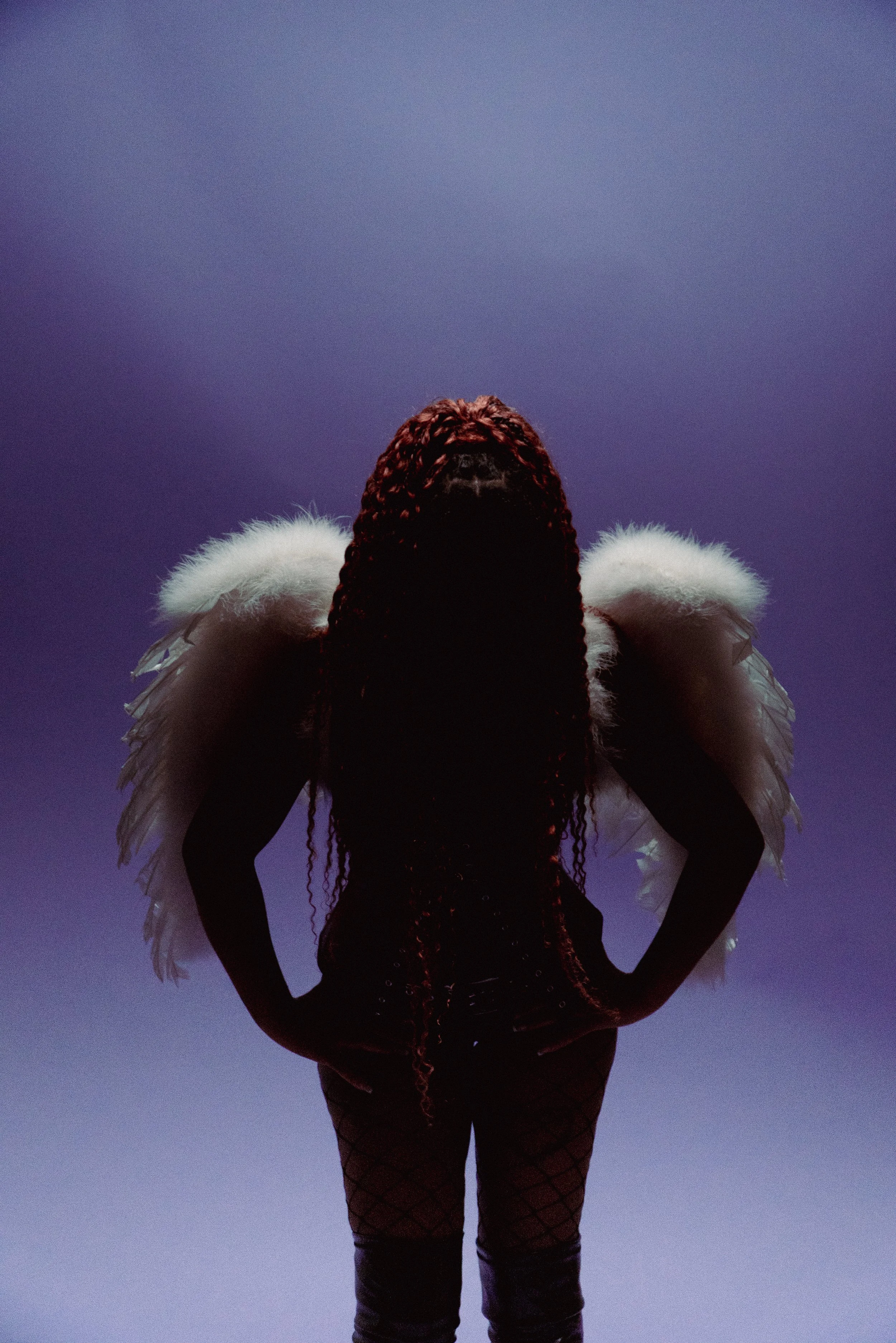 LVL08309.jpg