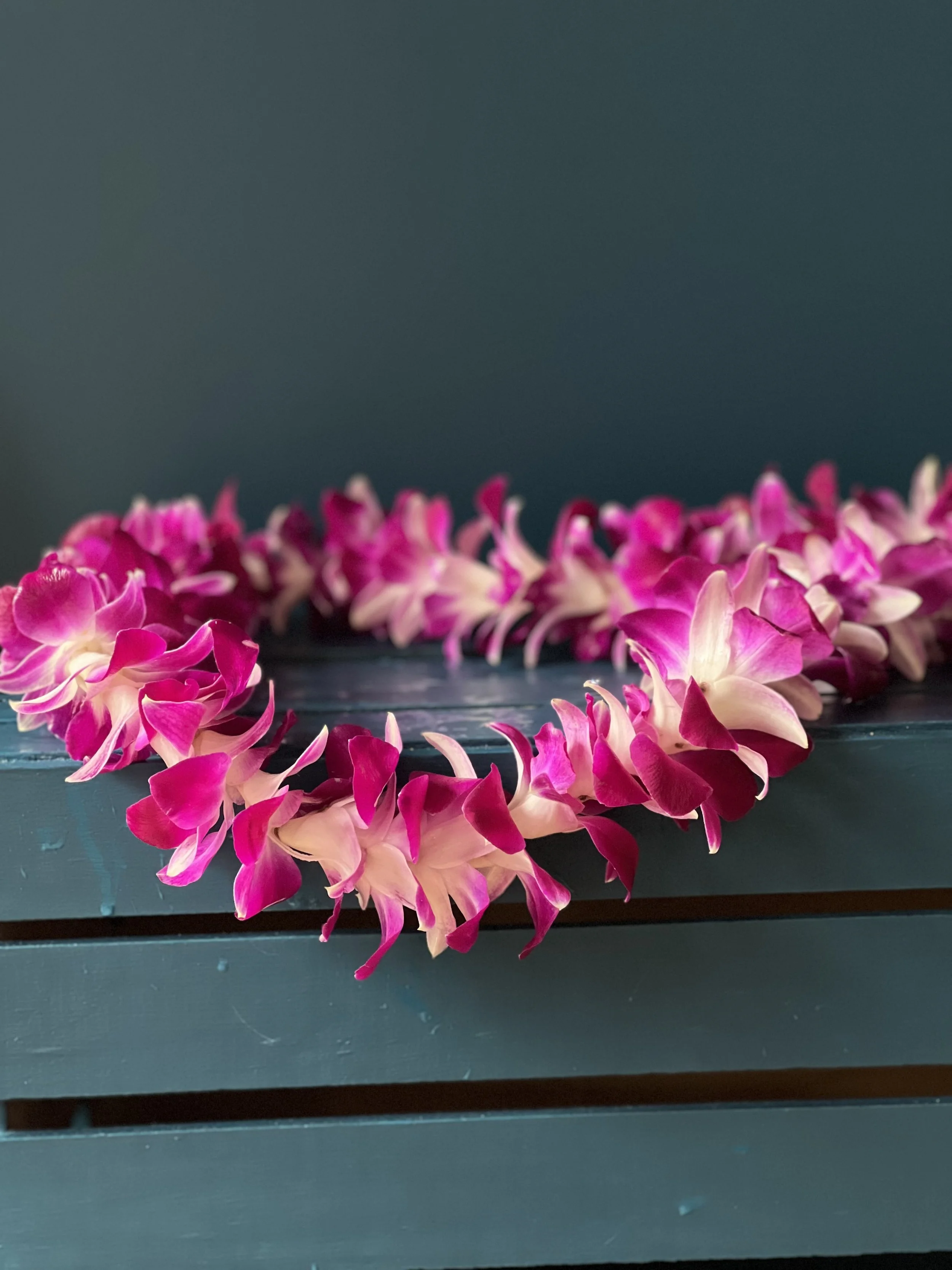 A Portland graduation lei made with white and purple orchid blooms strung together, laying on a blue crate
