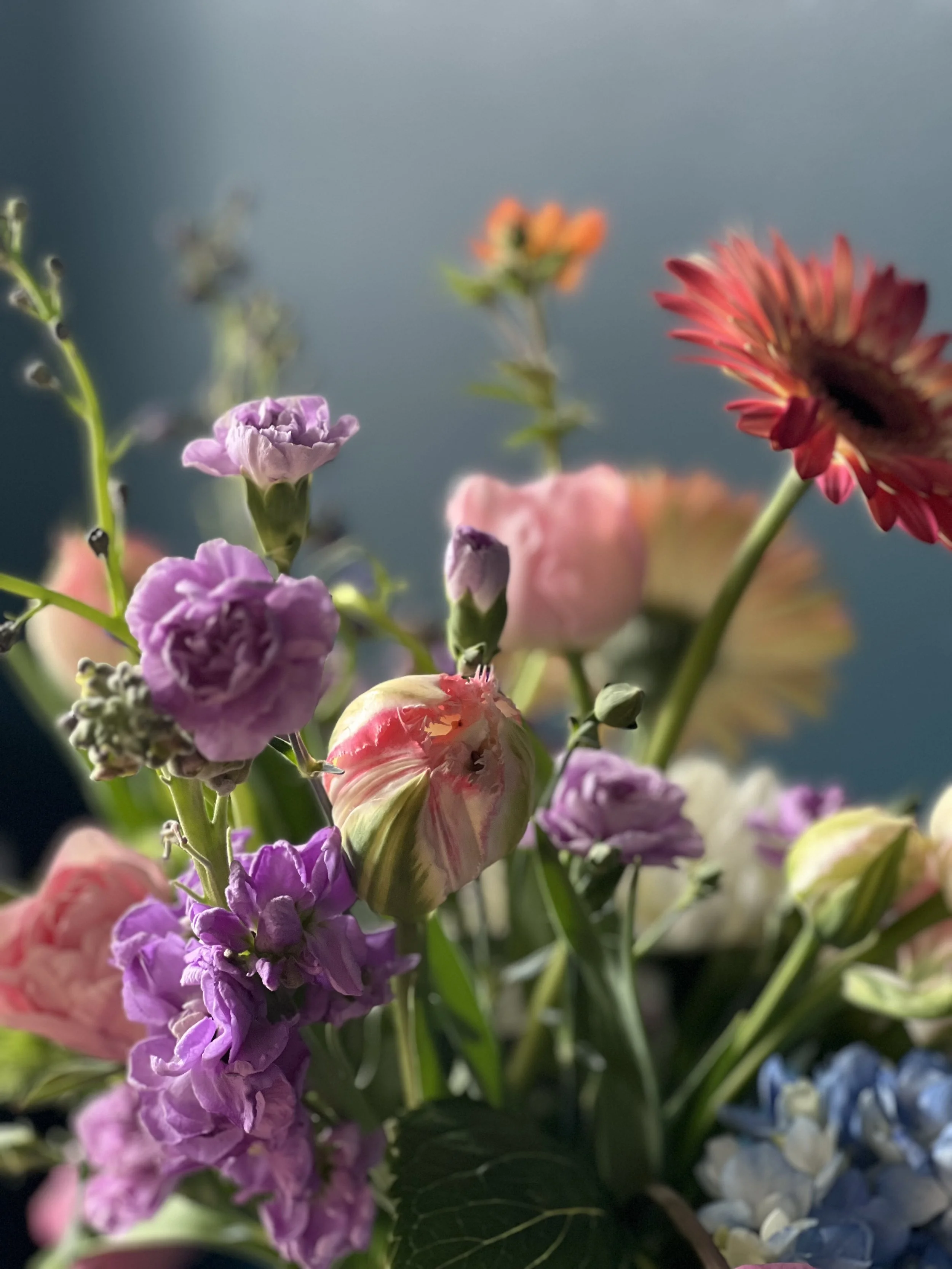 Close-up of tulips, daisy, and anemone in a colorful spring bouquet with layered textures and soft seasonal tones