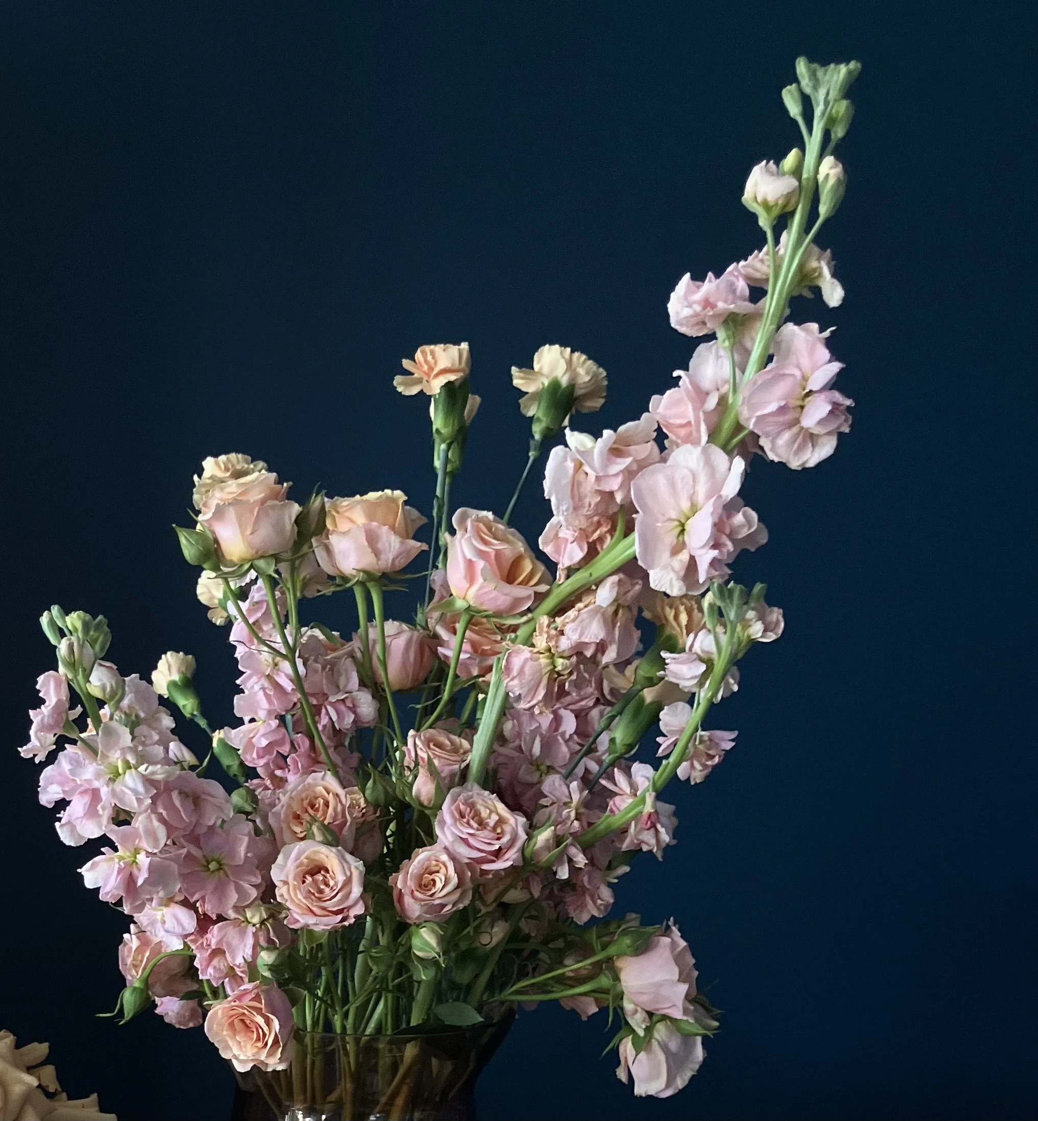 Blush blooms of roses and stock in a vase prepared for Valentine's Day creations in our Williams District studio