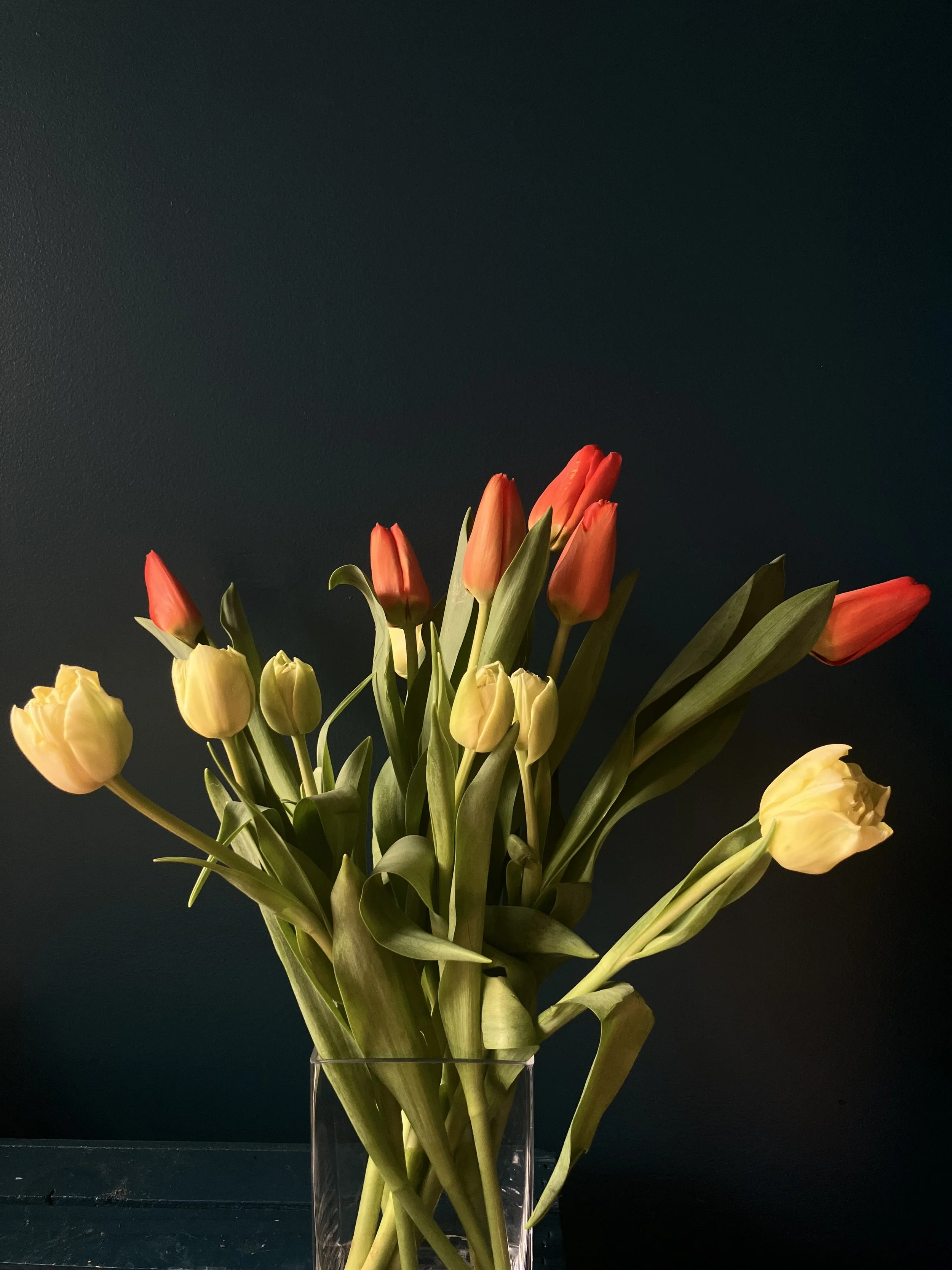 A gathering of yellow and orange winter tulips in a glass vase, arranged by our florist to help brighten dark winter days in Portland