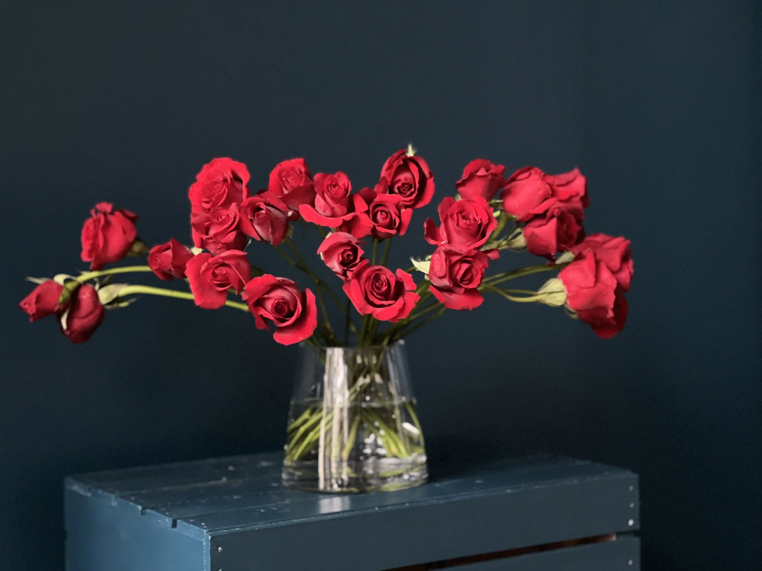 Pure Bunch of Blooms