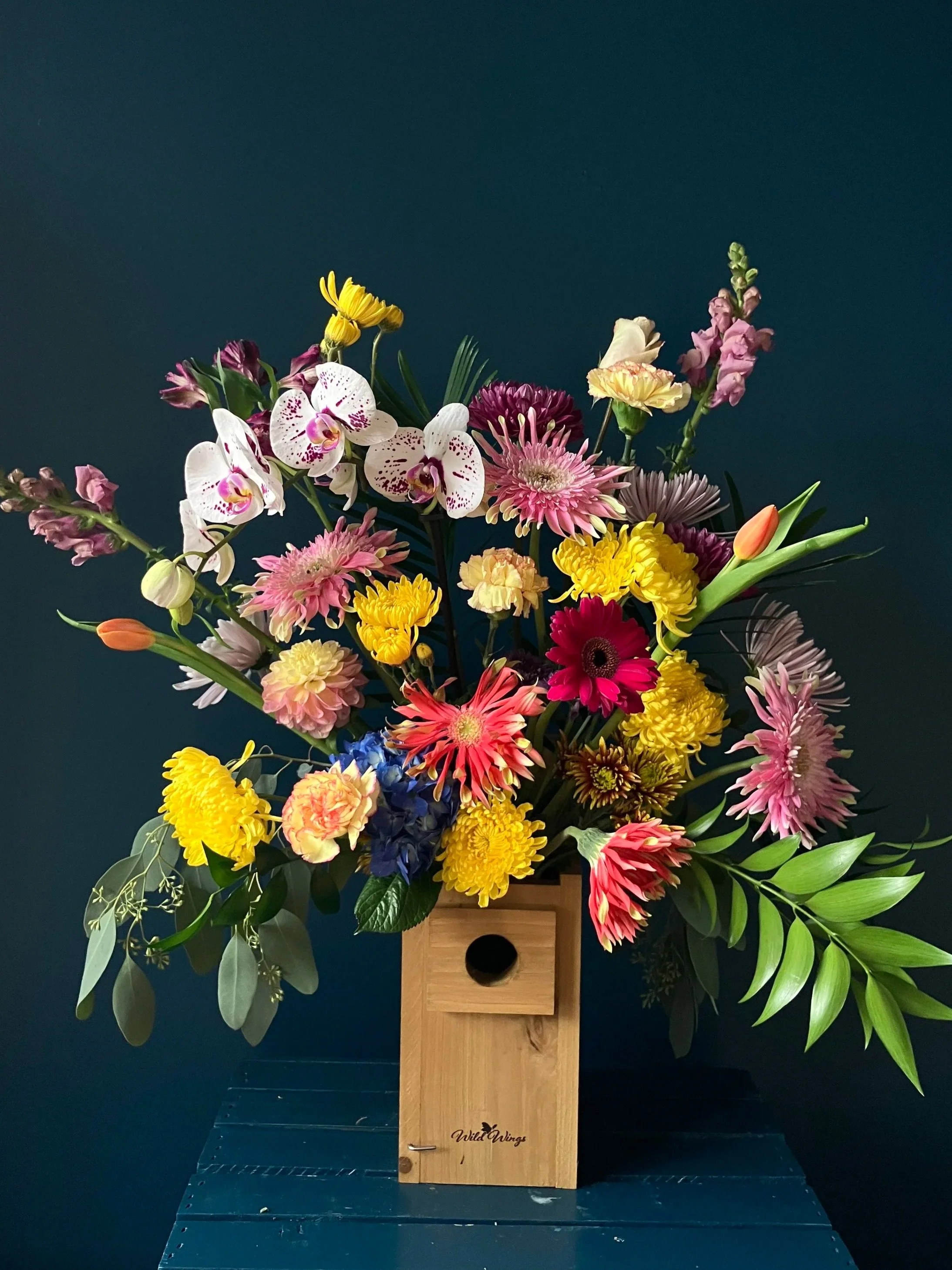 Popular for birthday flowers, a special gift arrangement colorfully made in a wooden bird home with daisies, snapdragons, mums & central orchid