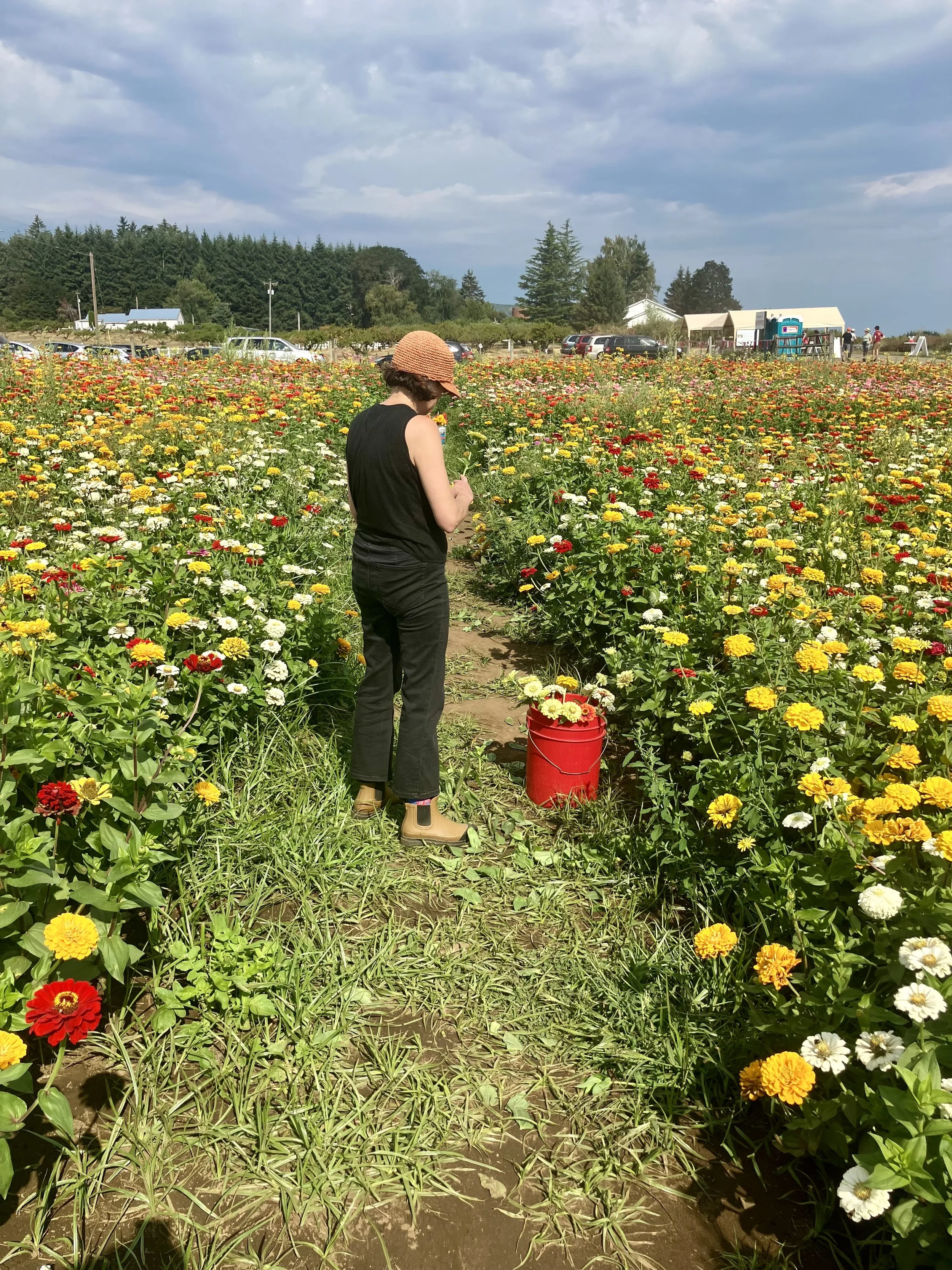 A designer from our Portland florist in a local farm field where we source the freshest, sustainable blooms