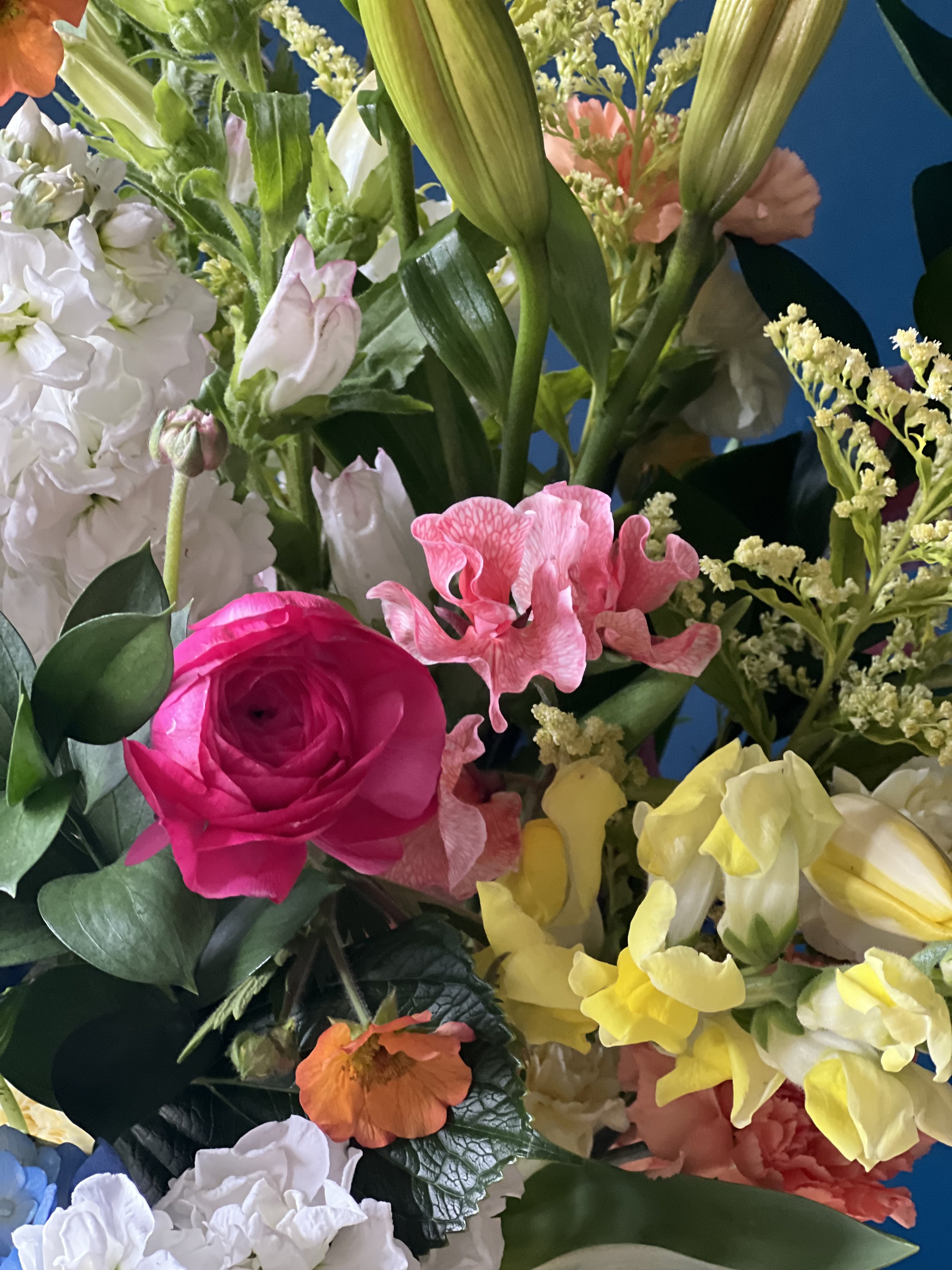 All the yellows, whites & pinks show on this floral close up