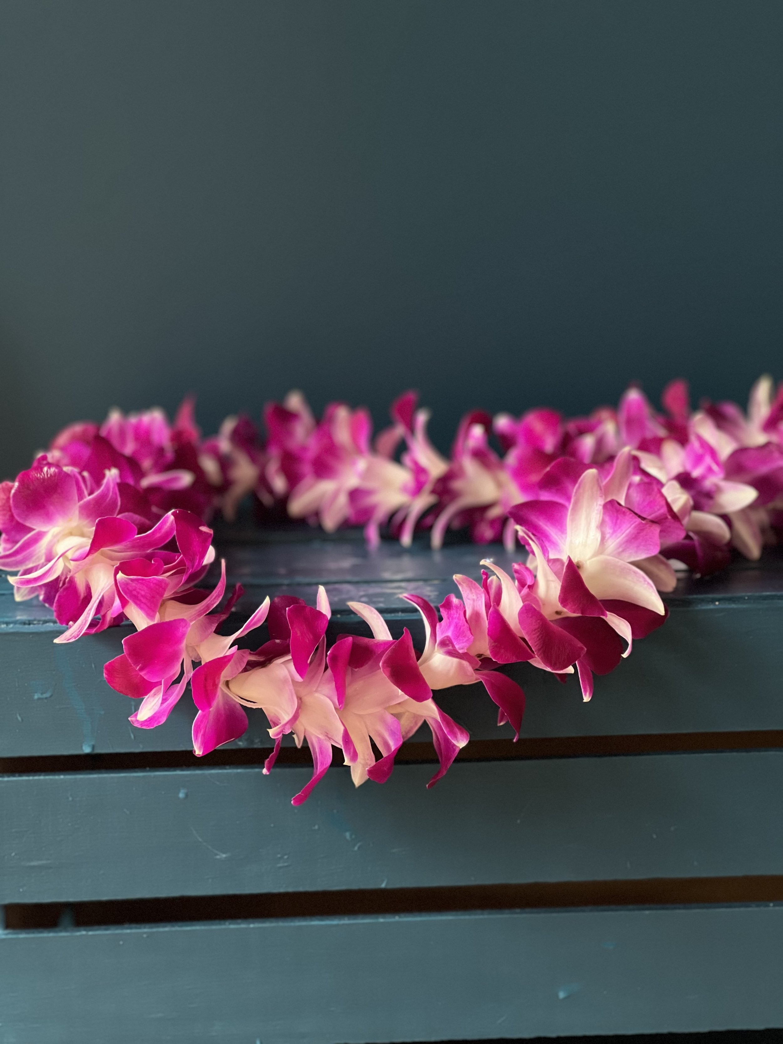 A lei made for graduation from high school or college, white and purple petals strung together