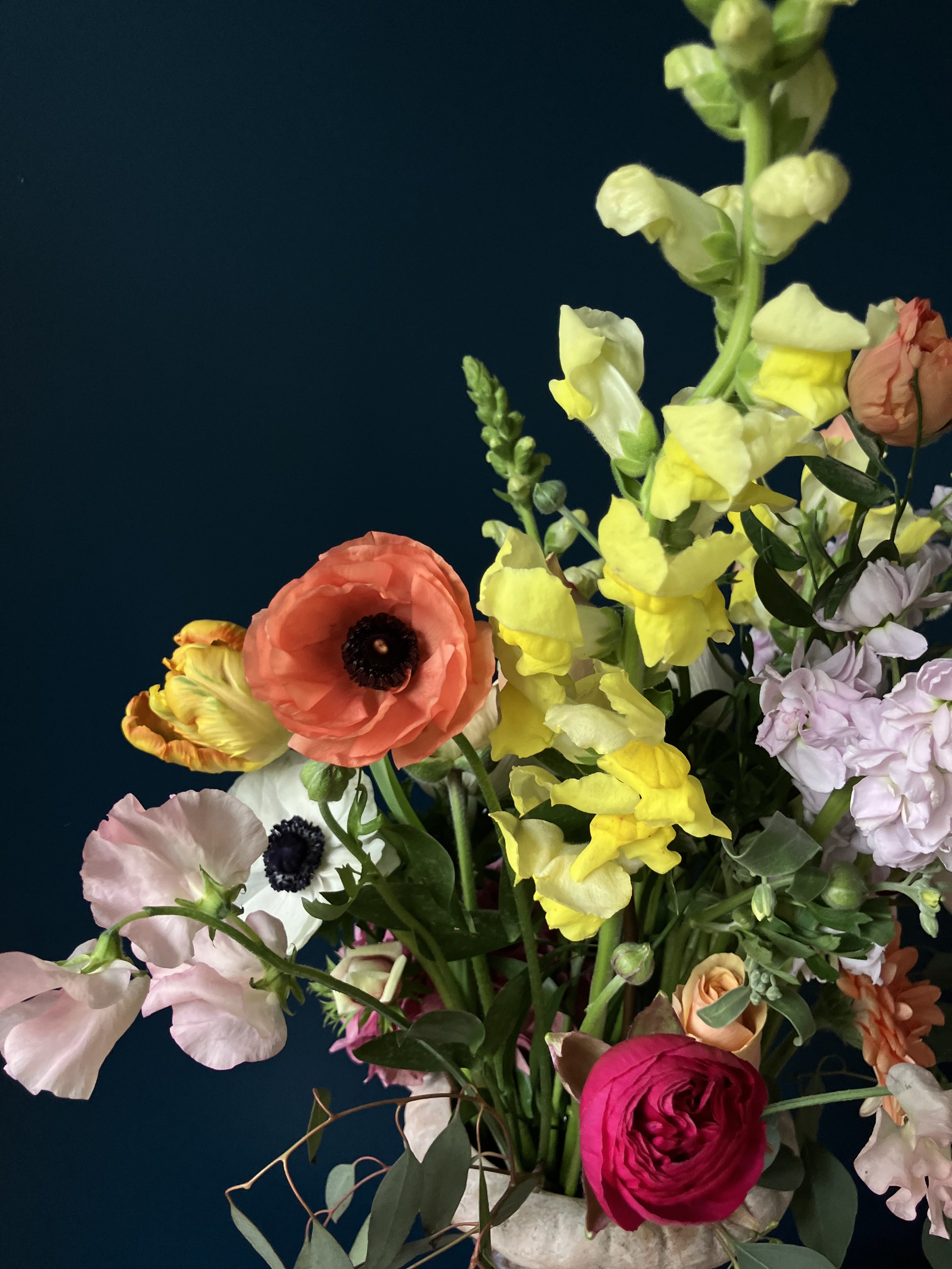 Close up of gorgeous orange & white anemones & tulips surrounded by pink sweet pea