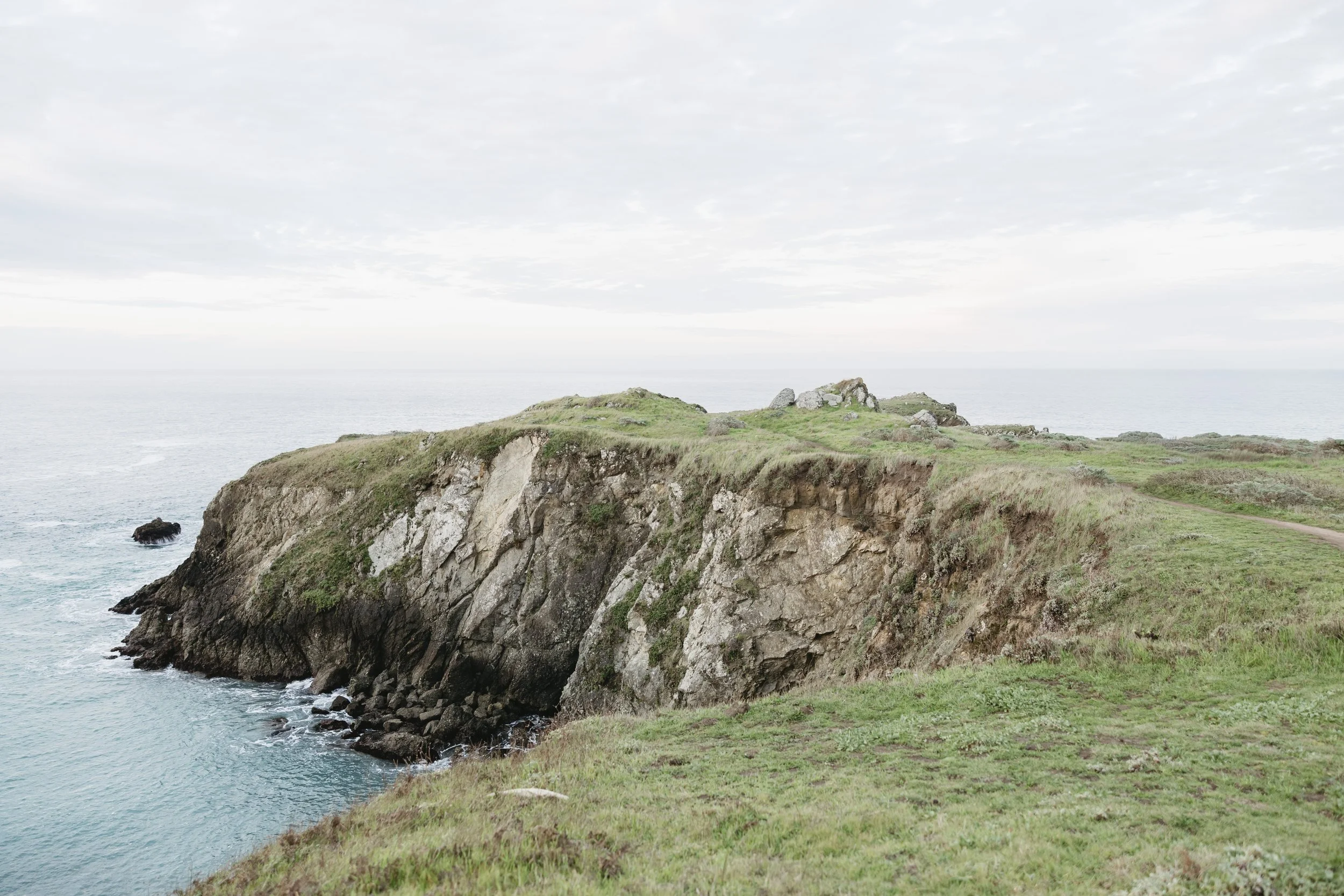 ocean meadow landscape at sea ranch lodge with sweeping views of the rugged california coastline