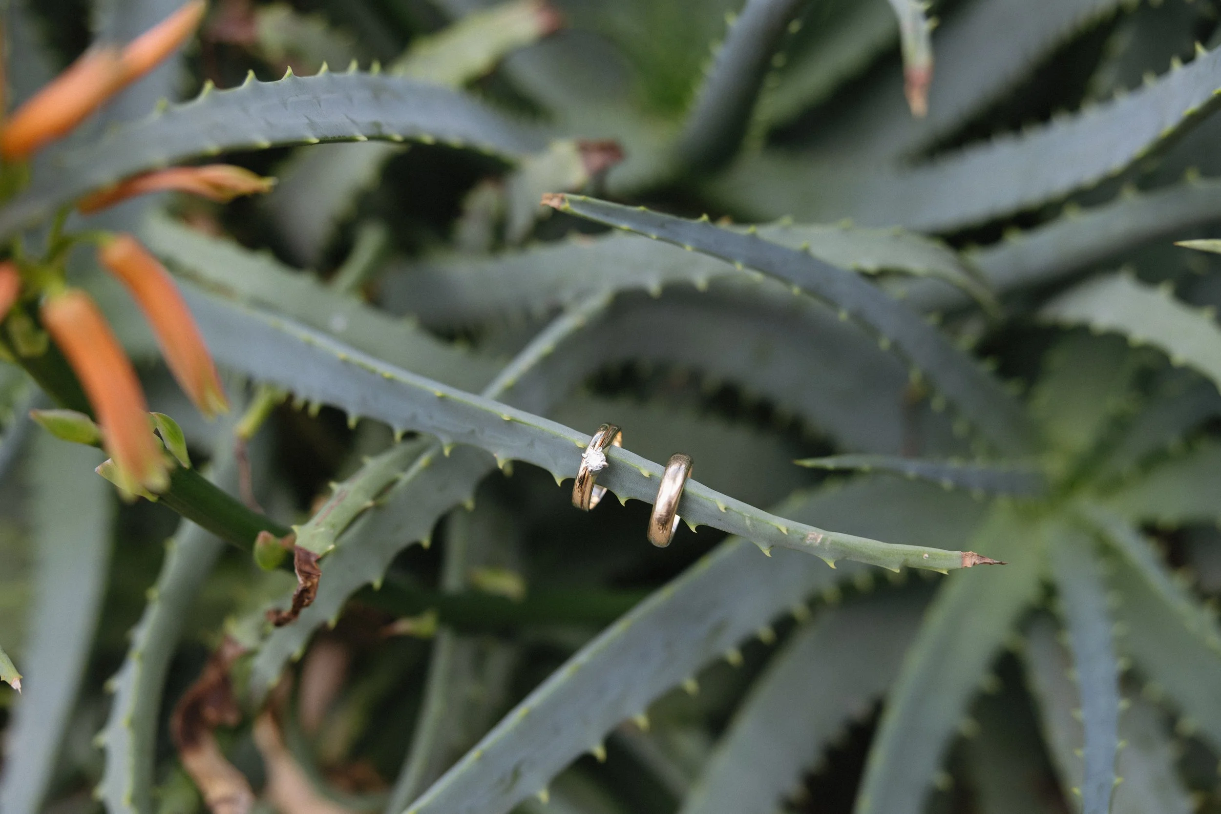 flat lay at luxury wedding nobu los cabos