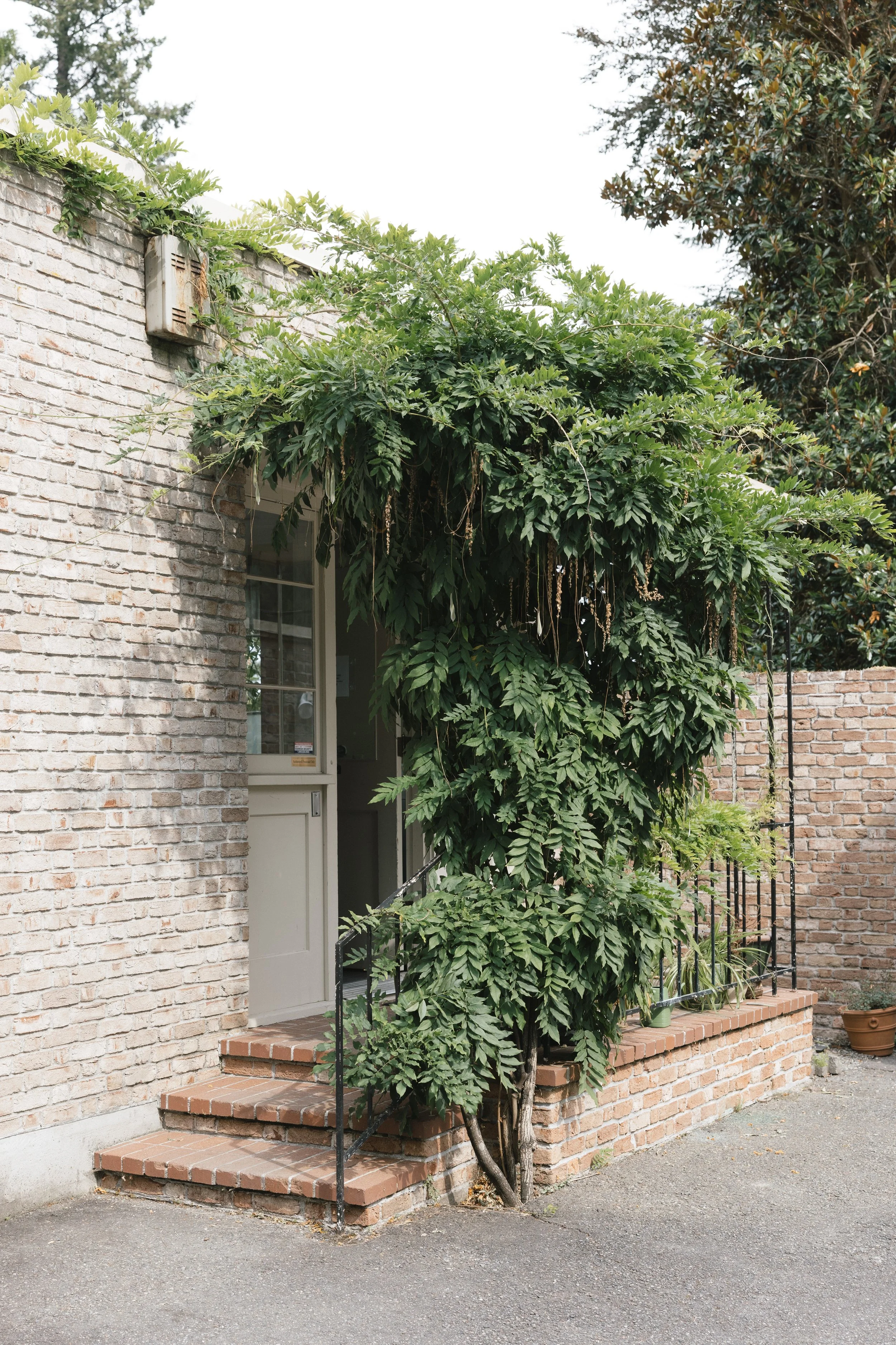 floral wedding design at lakewold gardens