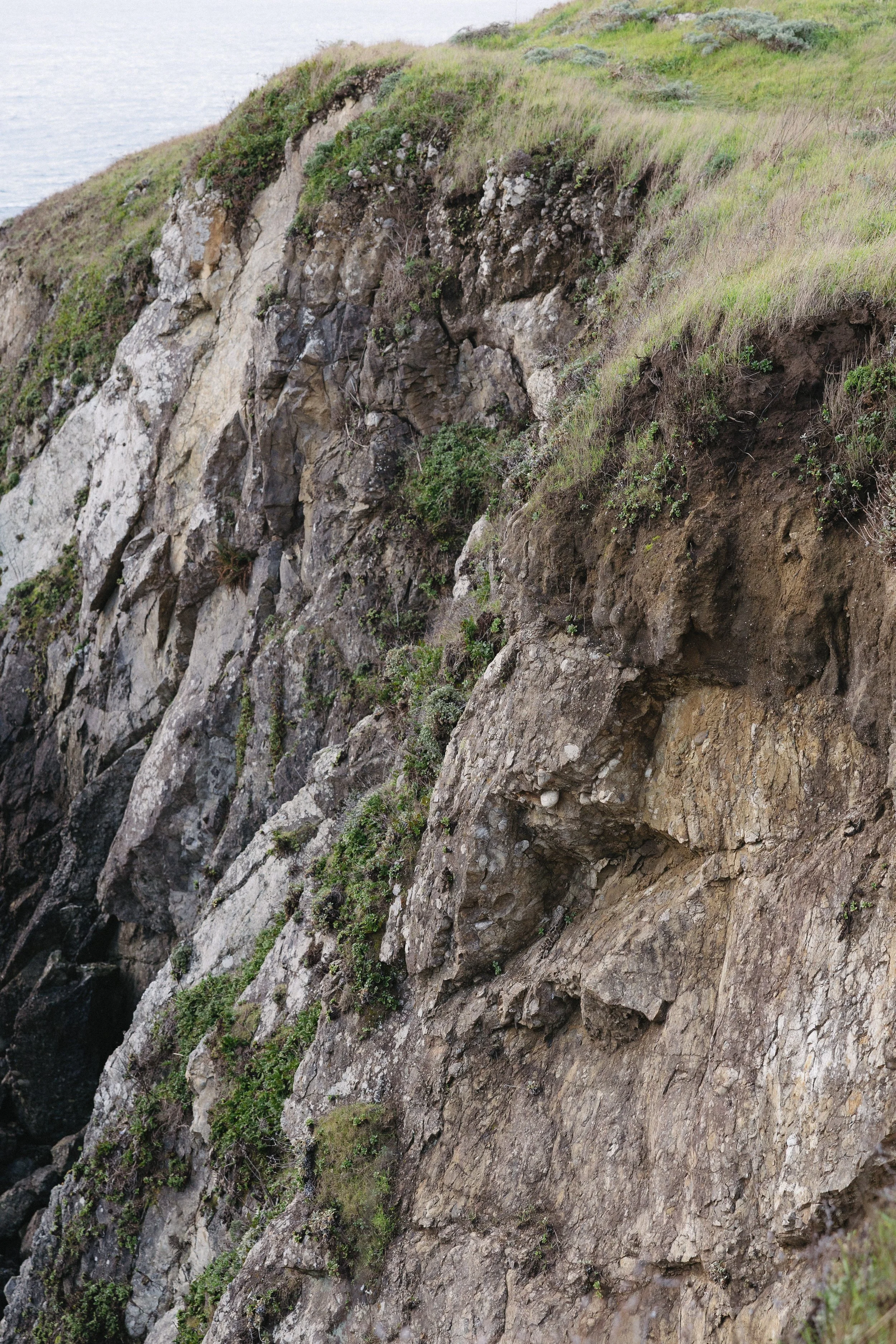 A rocky coastal cliff with patches of grass and small shrubs, overlooking the ocean in the background. located at sea ranch lodge.