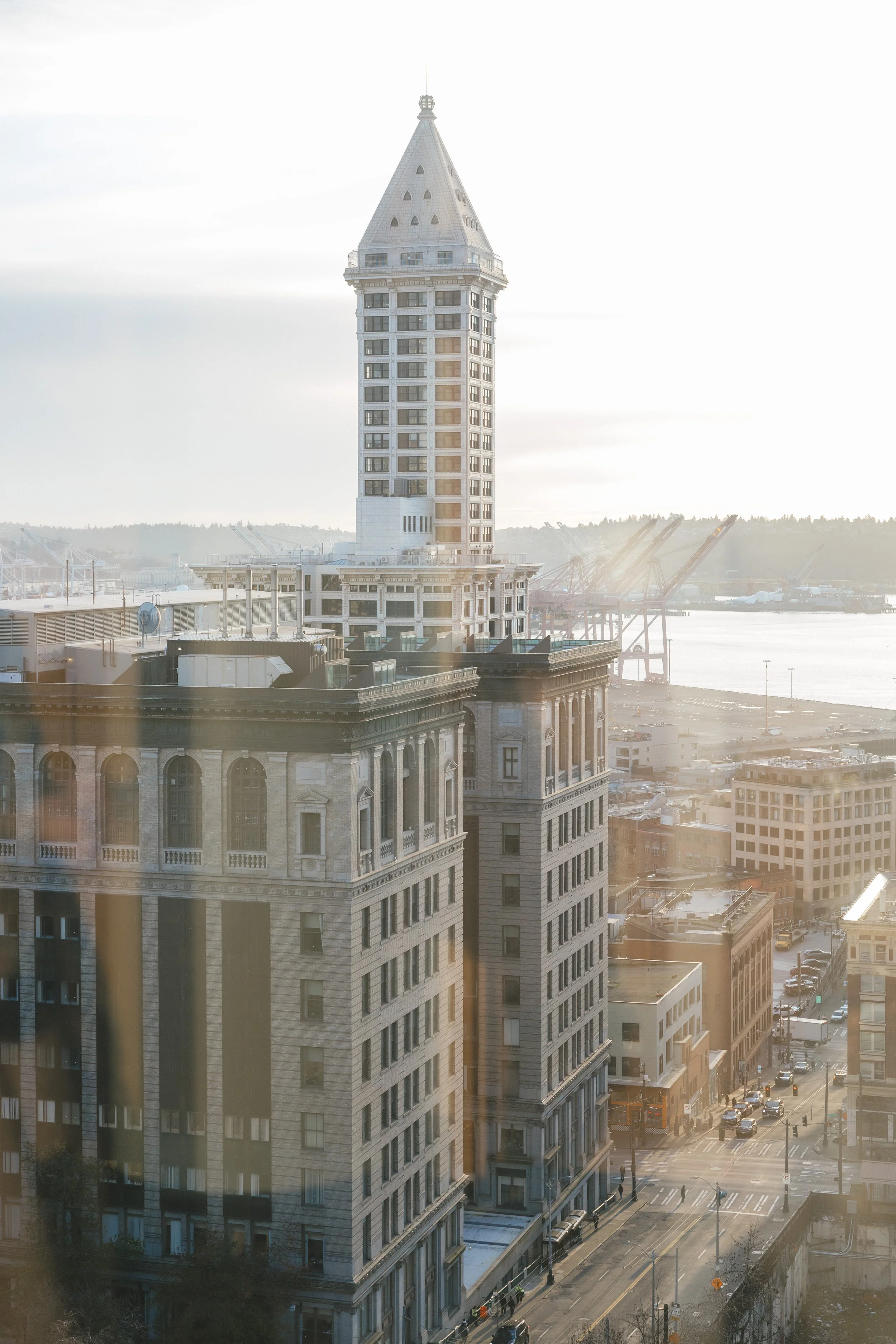 A cityscape featuring a tall, historic building with a tower on top, viewed through a window with reflections. The scene includes streets with cars and other buildings, and a body of water with cranes in the background during daylight.