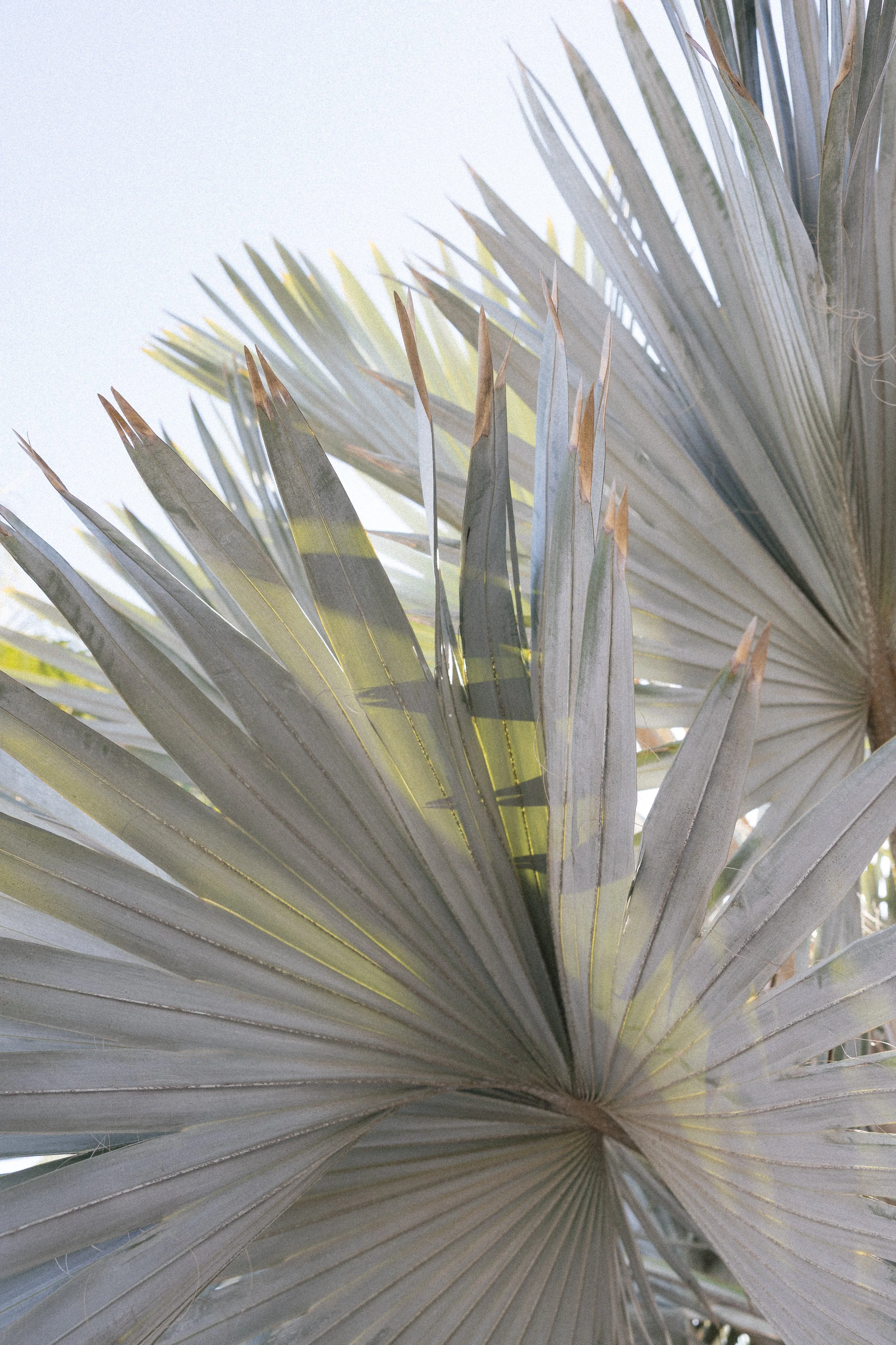 coastal wedding venue in cabo at nobu hotel los cabos