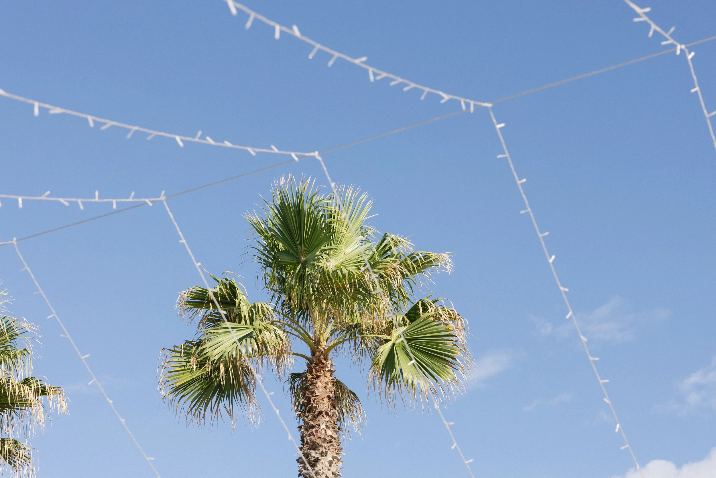 nobu los cabos reception decor
