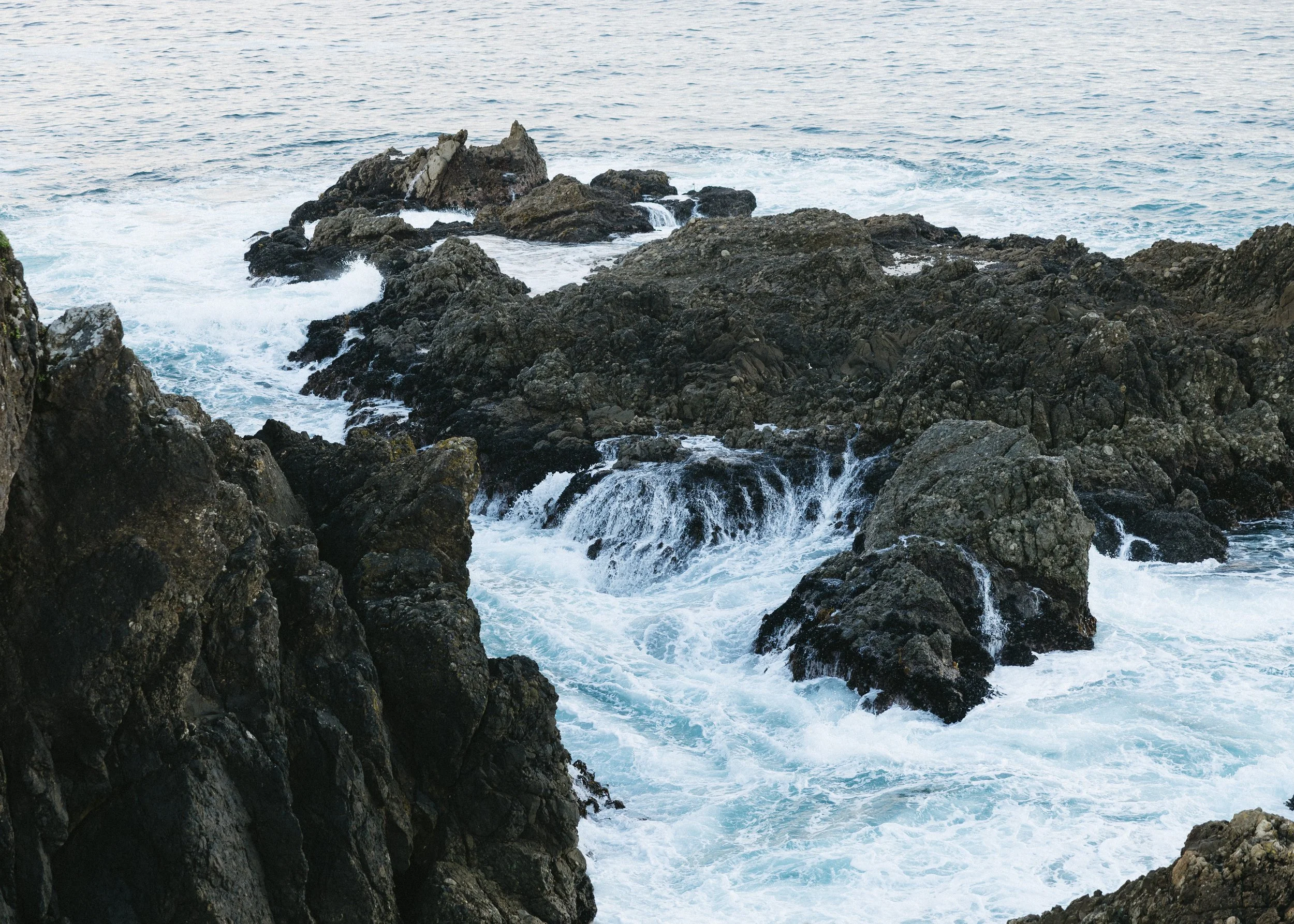 untouched coastal beauty surrounding sea ranch lodge in northern california