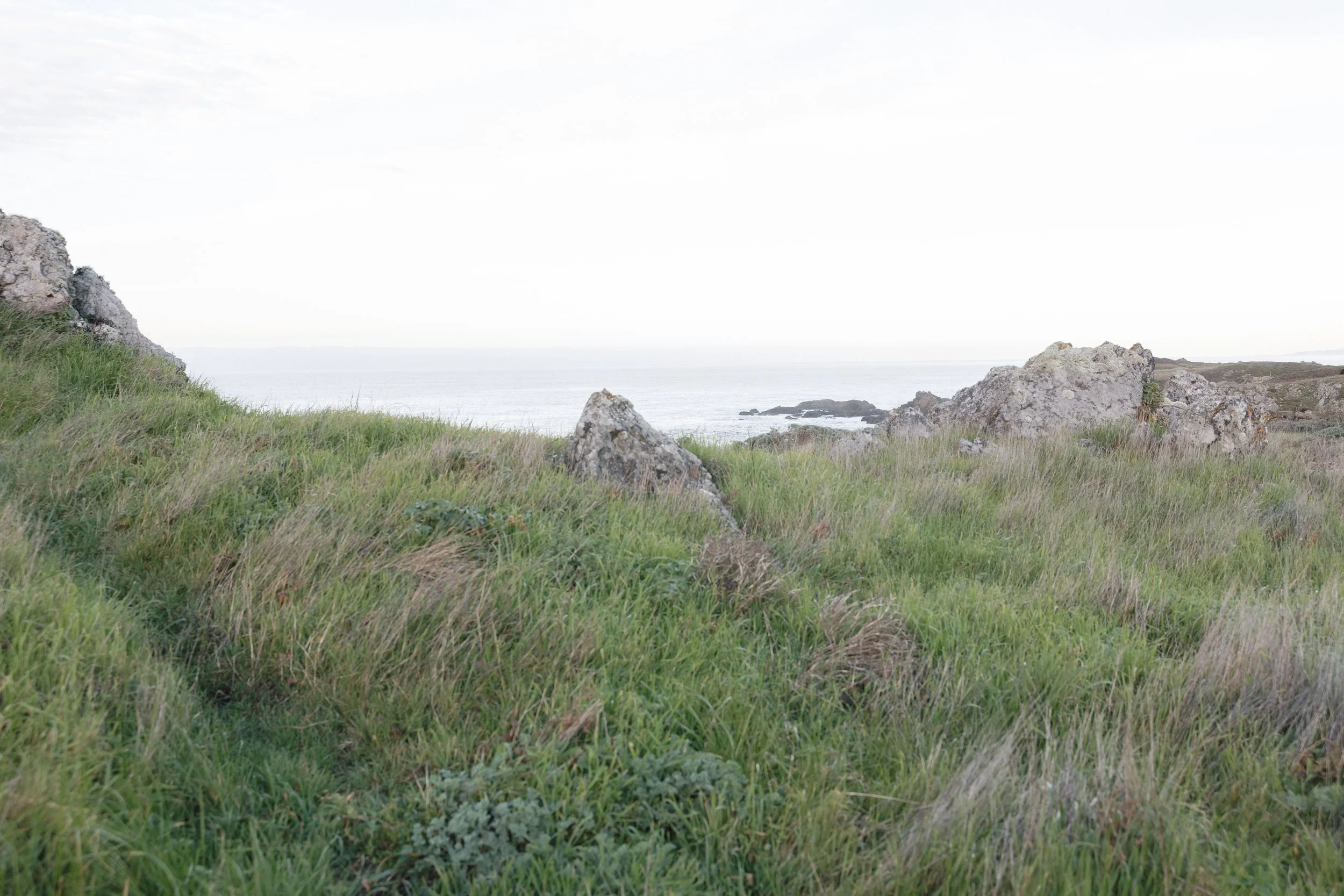 windswept meadow overlooking the pacific at sea ranch lodge, a breathtaking wedding backdrop