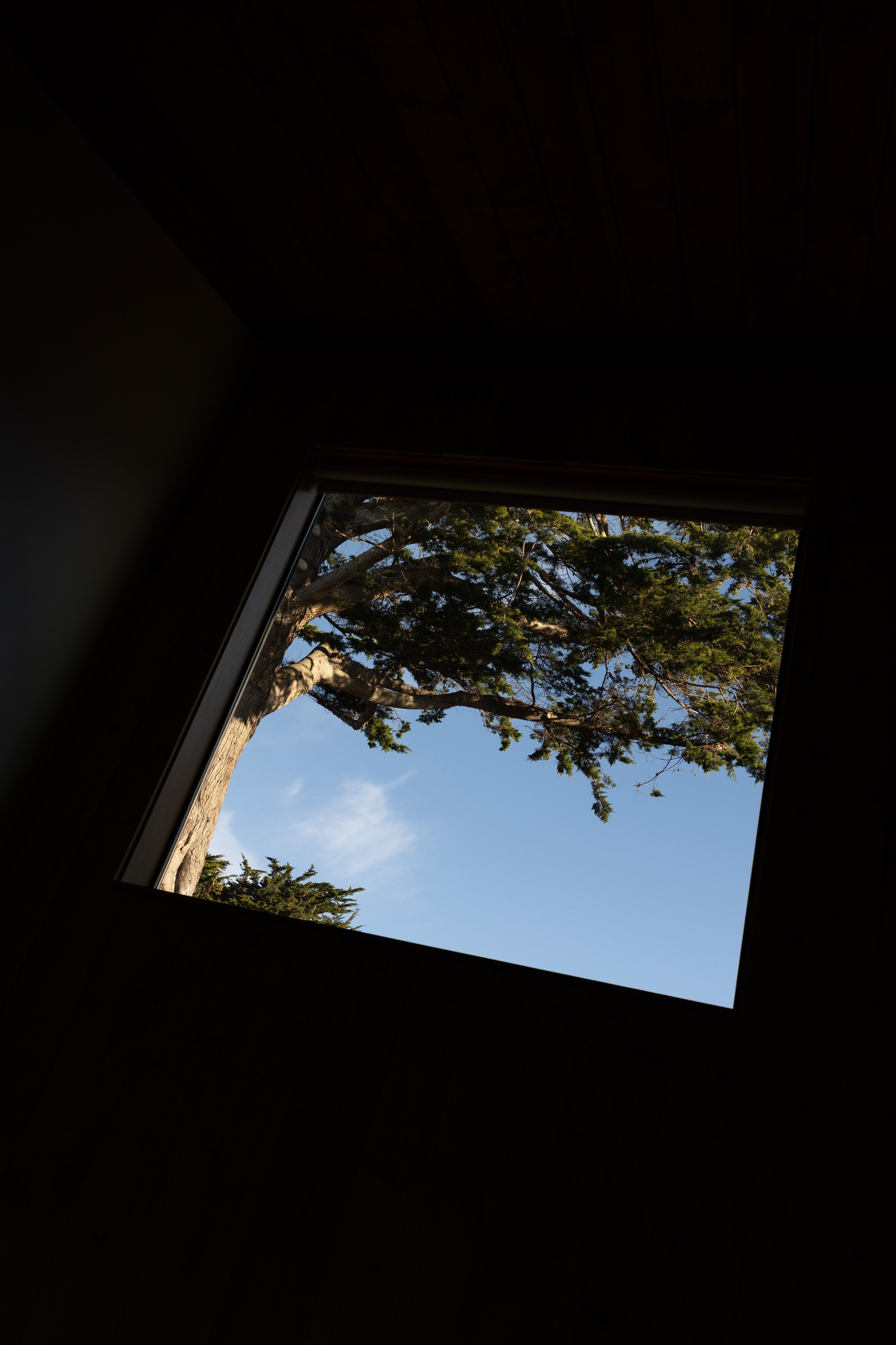 view from sea ranch lodge highlighting its modern rustic aesthetic at a northern california wedding venue