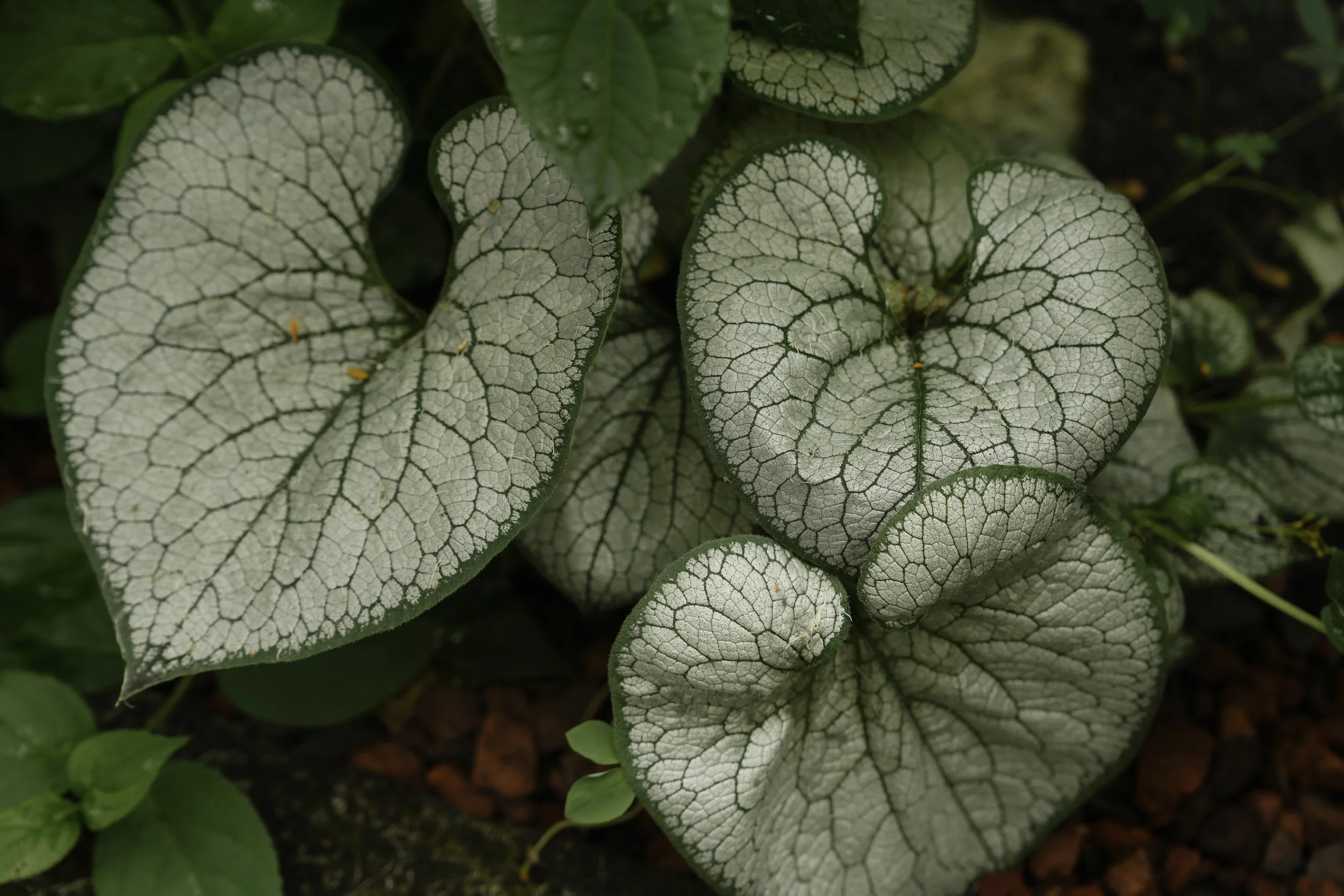 avant garde wedding floral design