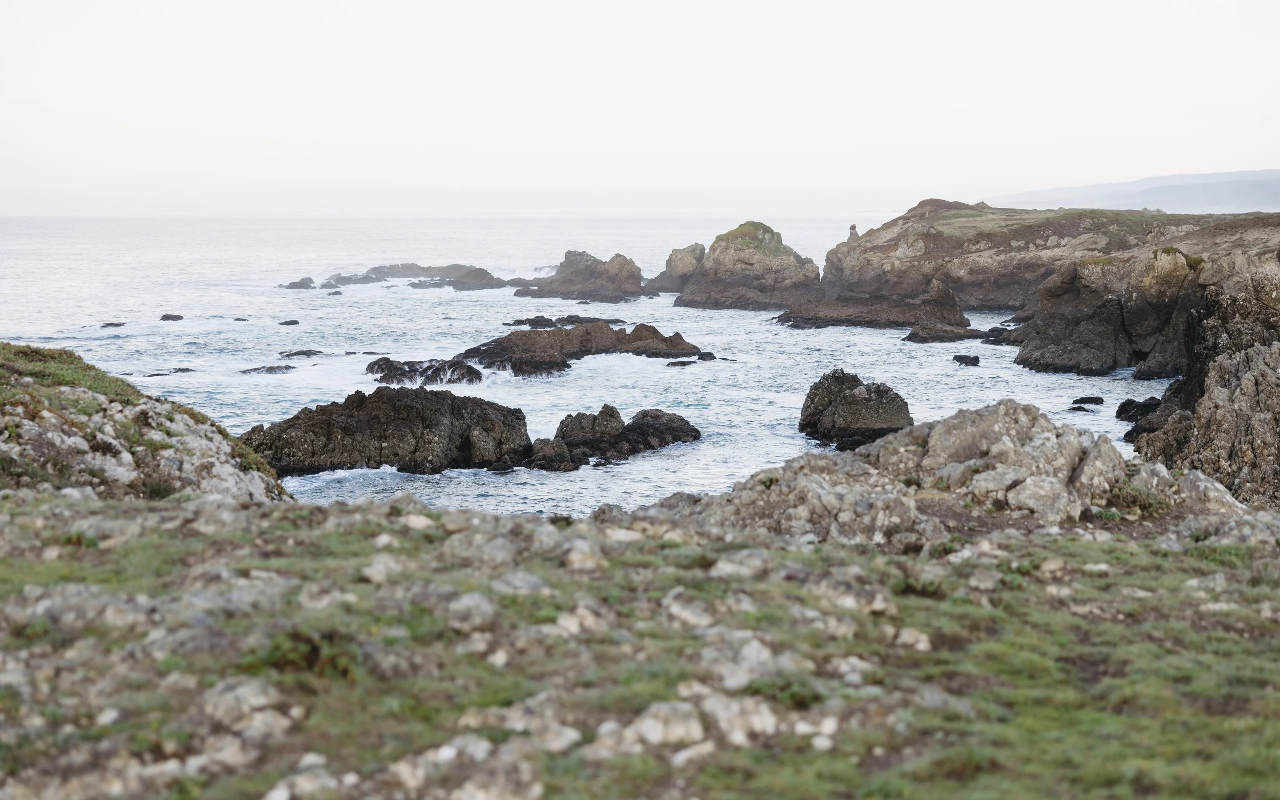 ocean meadow landscape at sea ranch lodge with sweeping views of the rugged california coastline