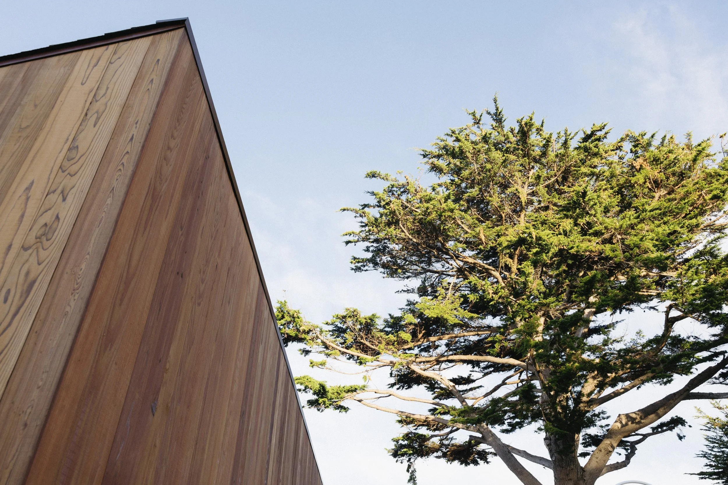 sea ranch lodge wedding venue set in rugged northern california