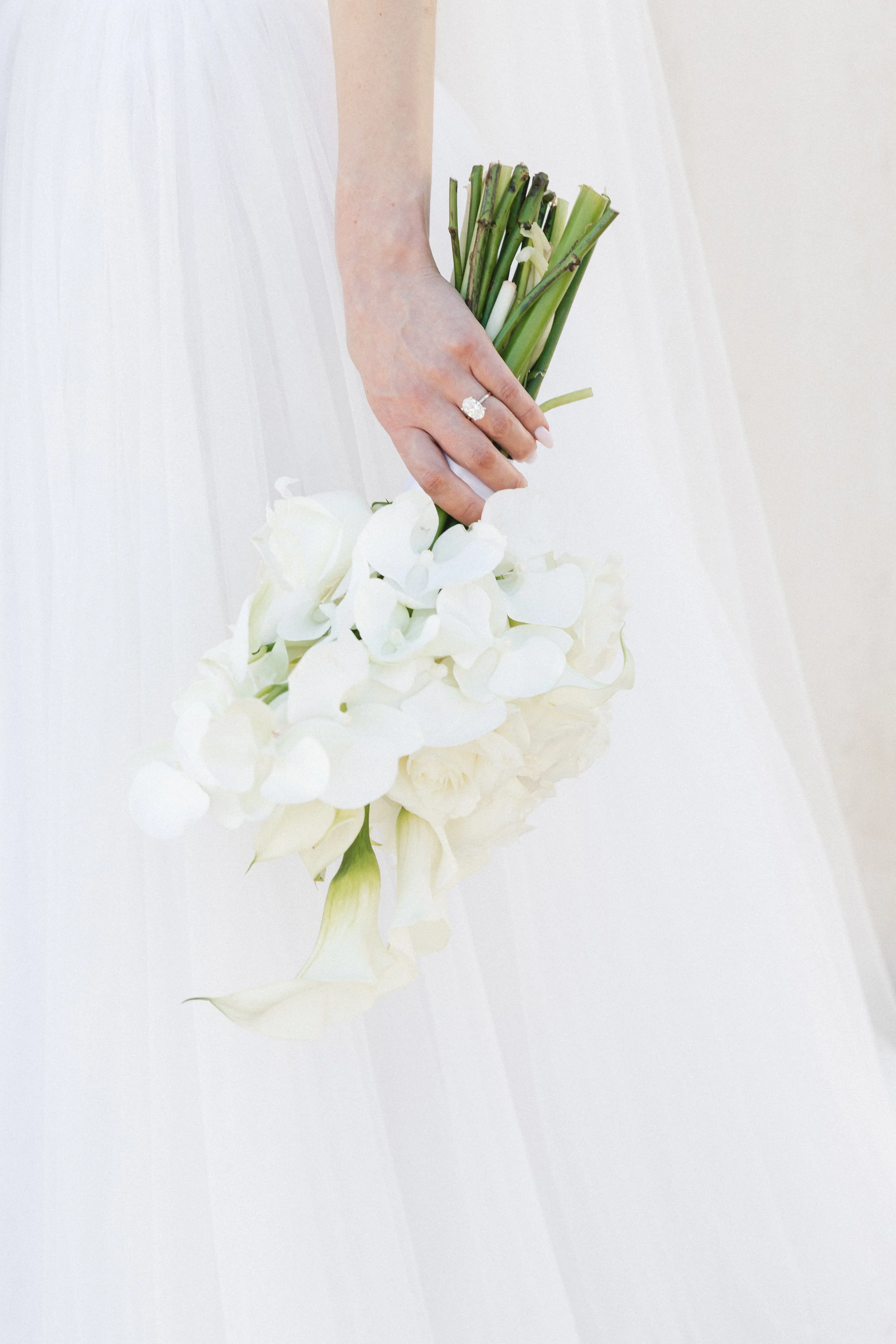 editorial bridal portrait at destination wedding