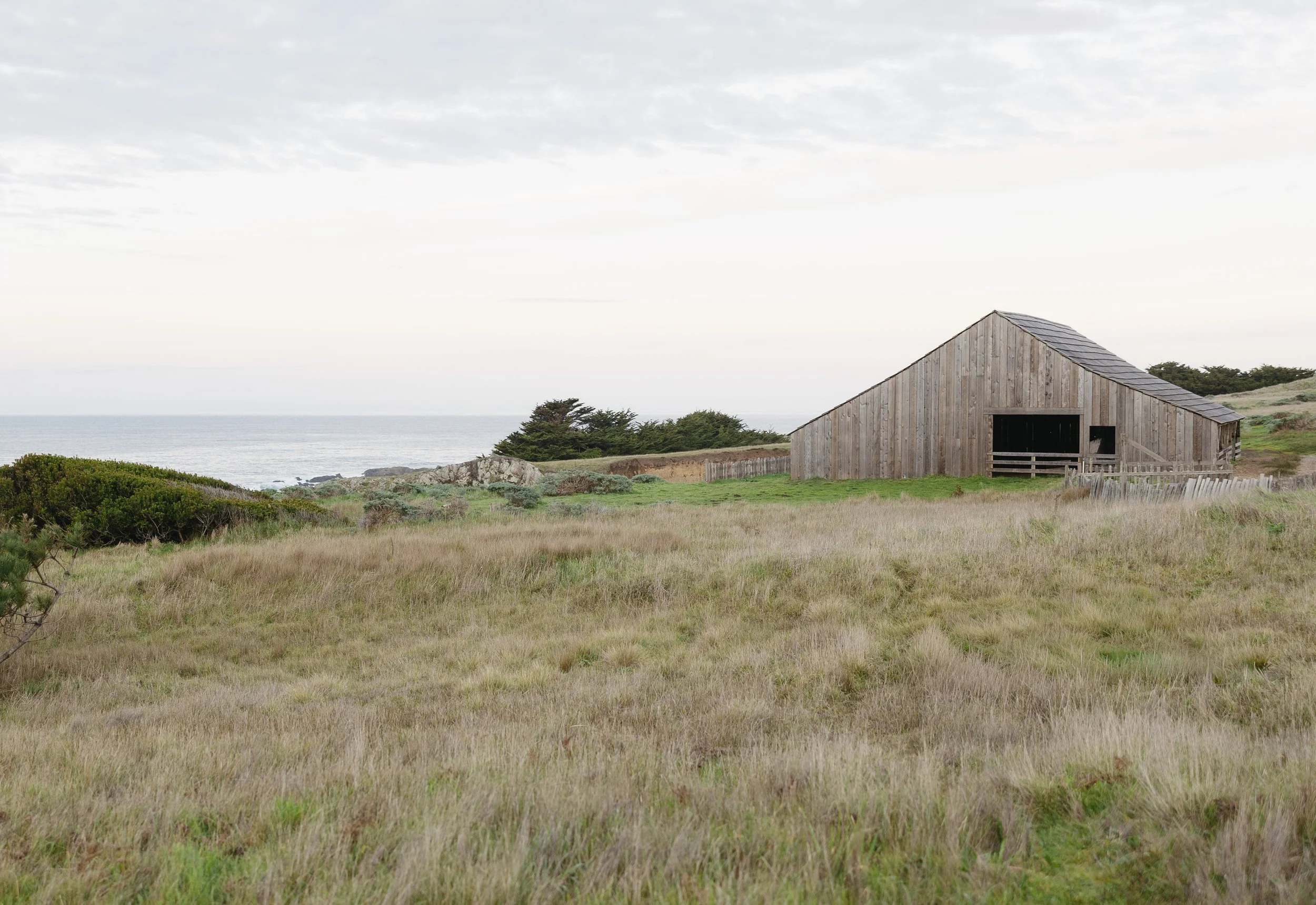 ocean meadow landscape at sea ranch lodge with sweeping views of the rugged california coastline