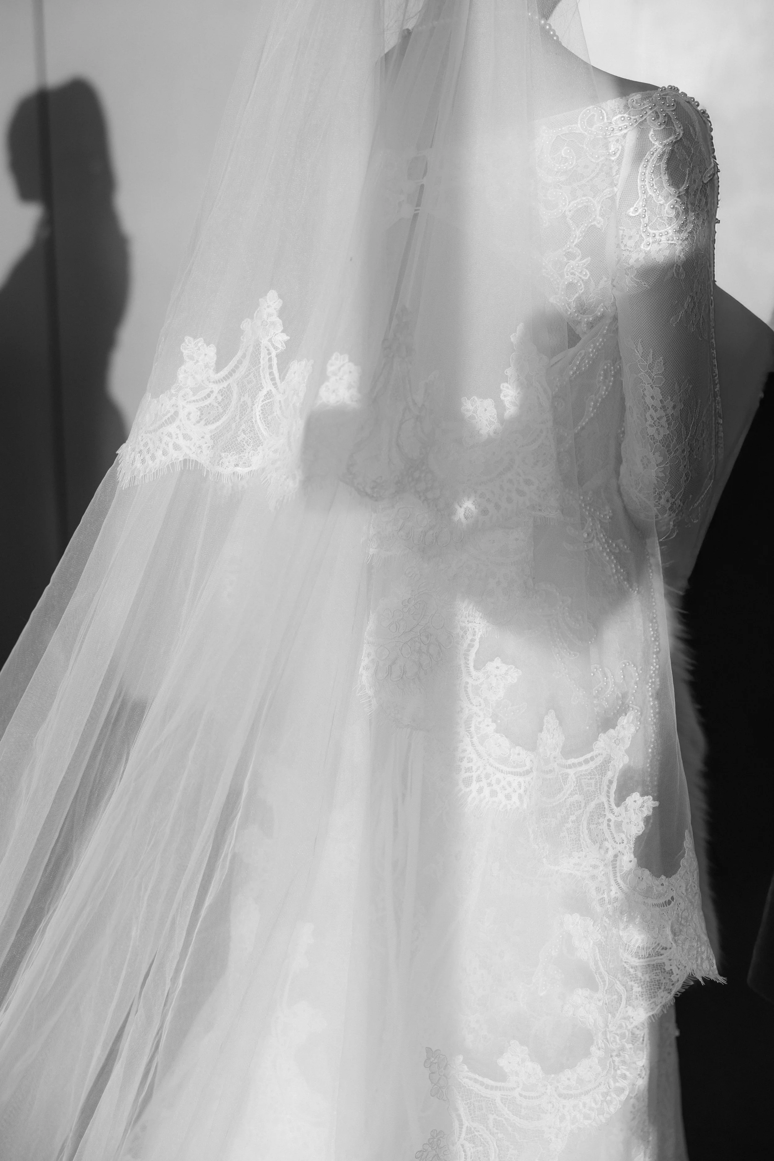A wedding dress behind a sheer veil with lace details, showing a silhouette of a bride.