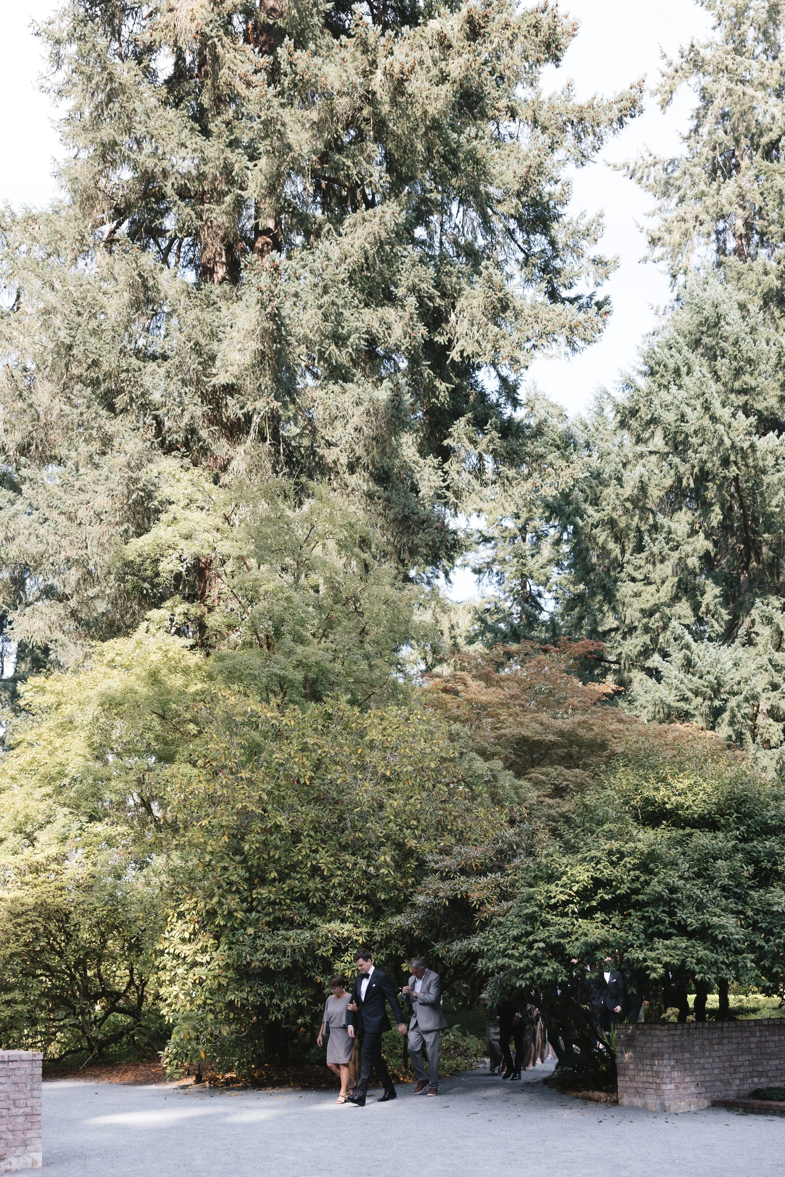 romantic wedding ceremony beneath evergreens