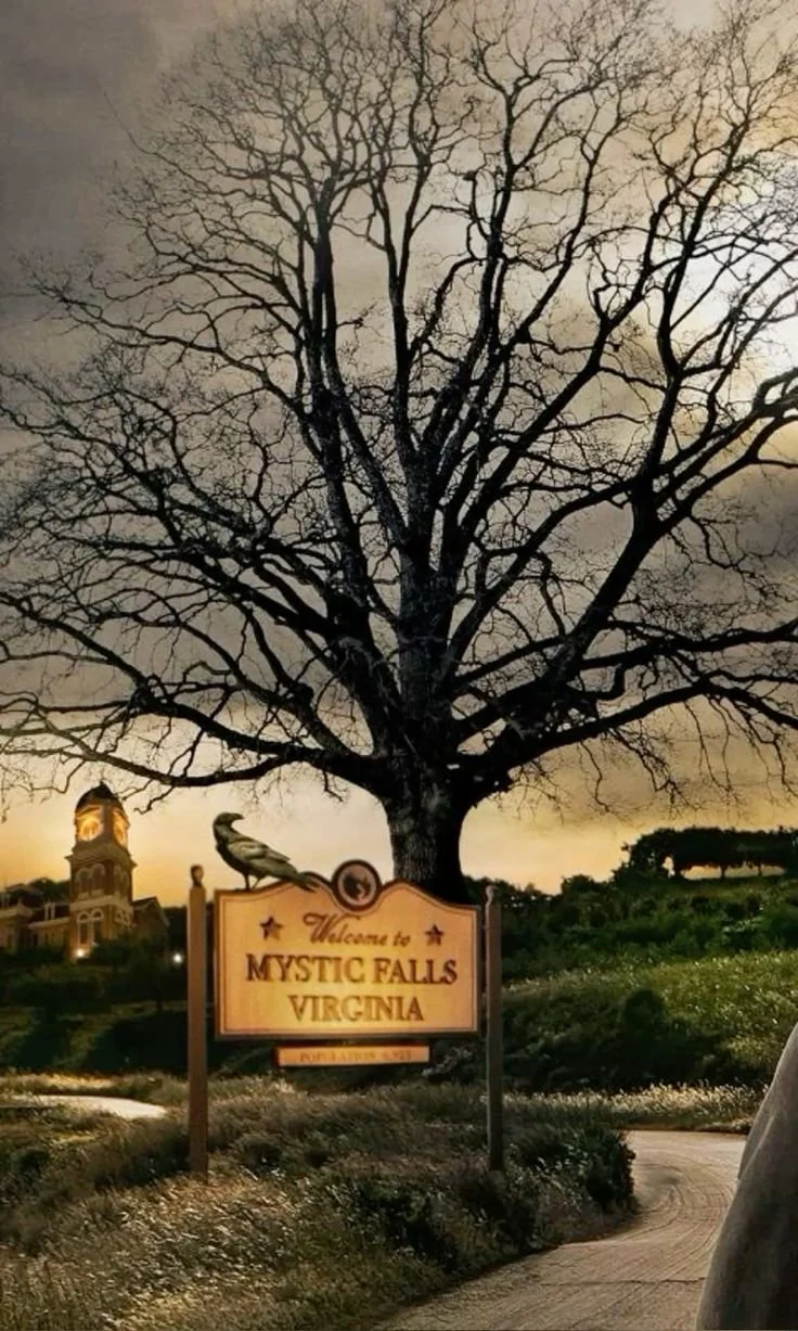 the vampire diaries.jpeg