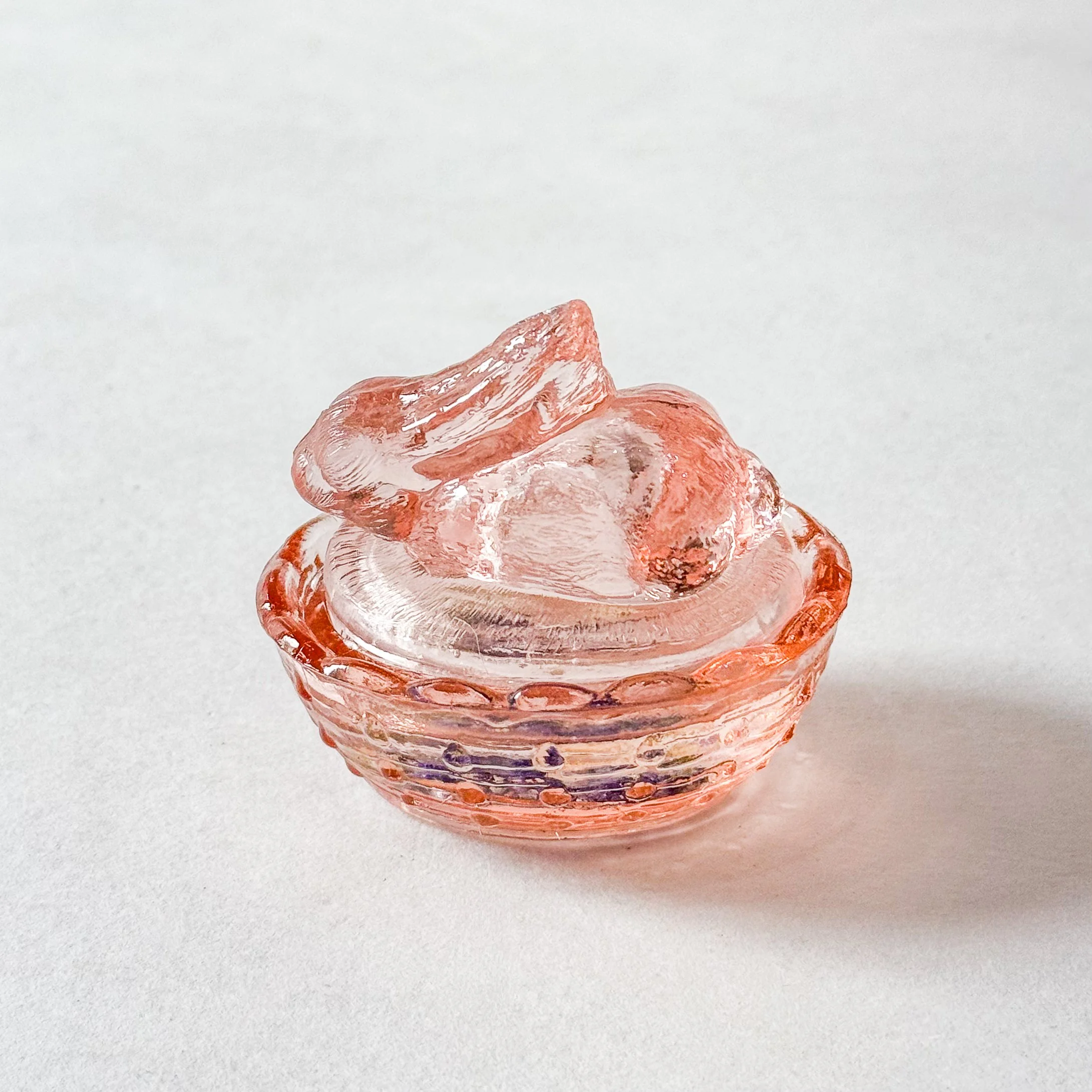 adopt-a-pet-BTW-134.jpg