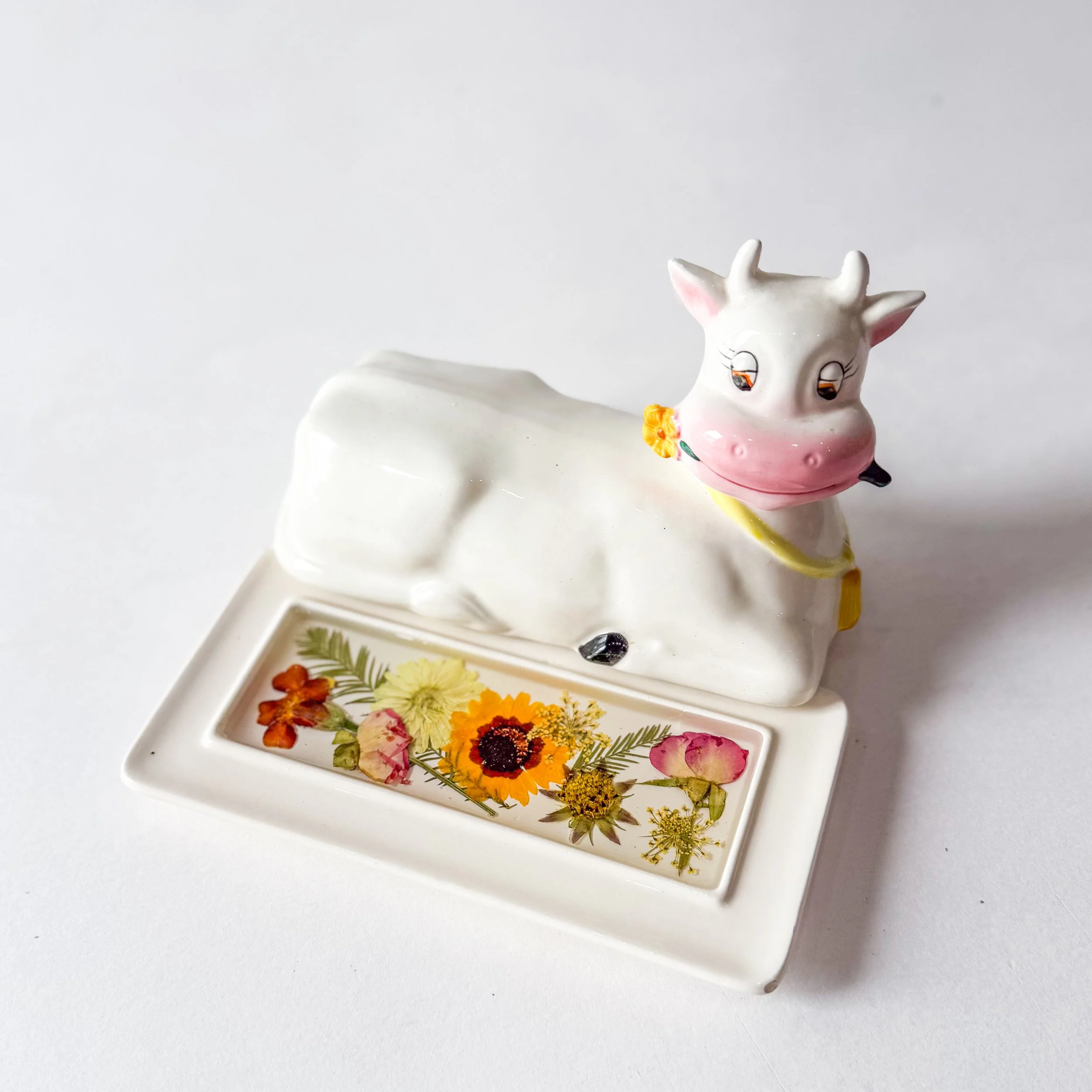 adopt-a-pet-BTW-101.jpg