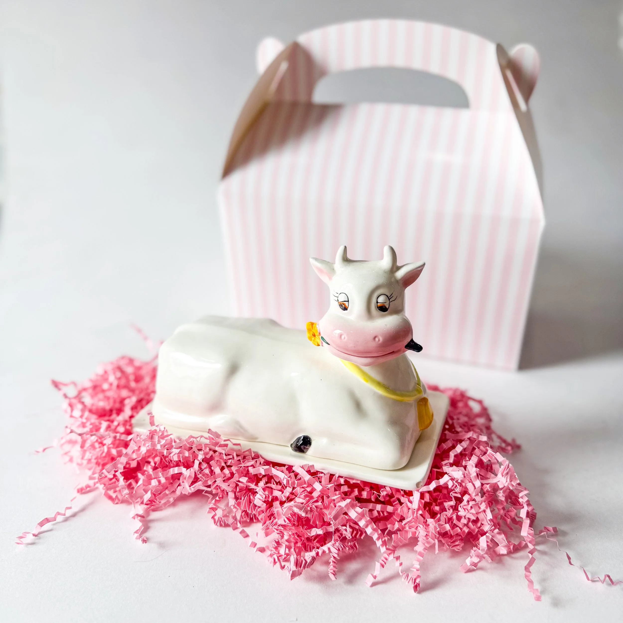 adopt-a-pet-BTW-103.jpg