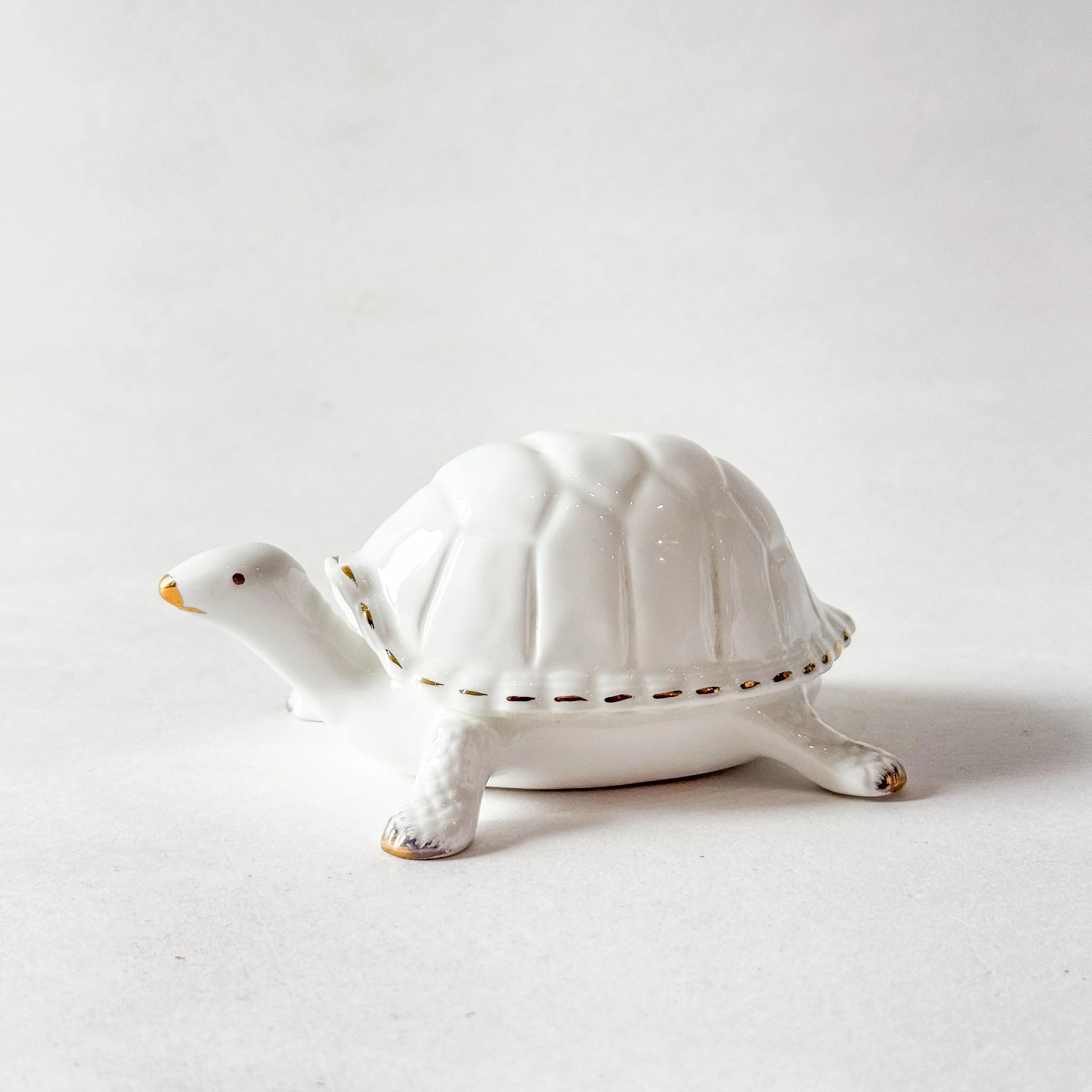 George the Turtle