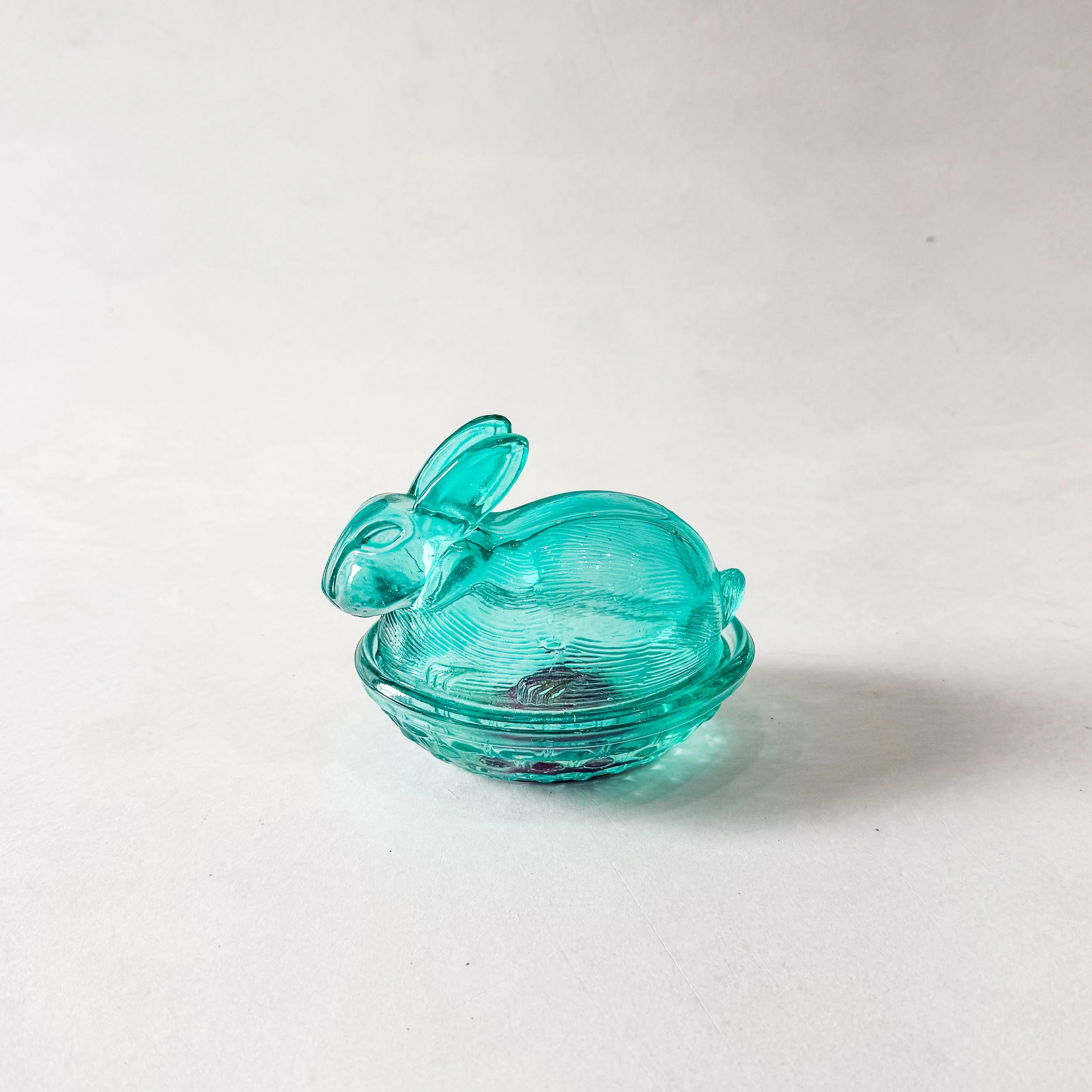 adopt-a-pet-BTW-50.jpg