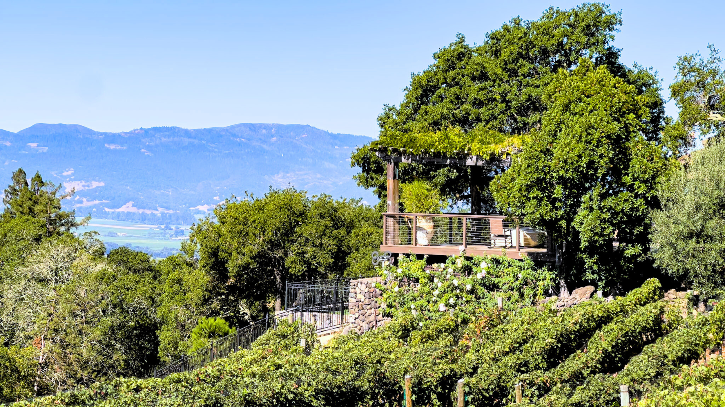 Untitled design (61).png