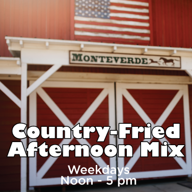 Country-Fried.png