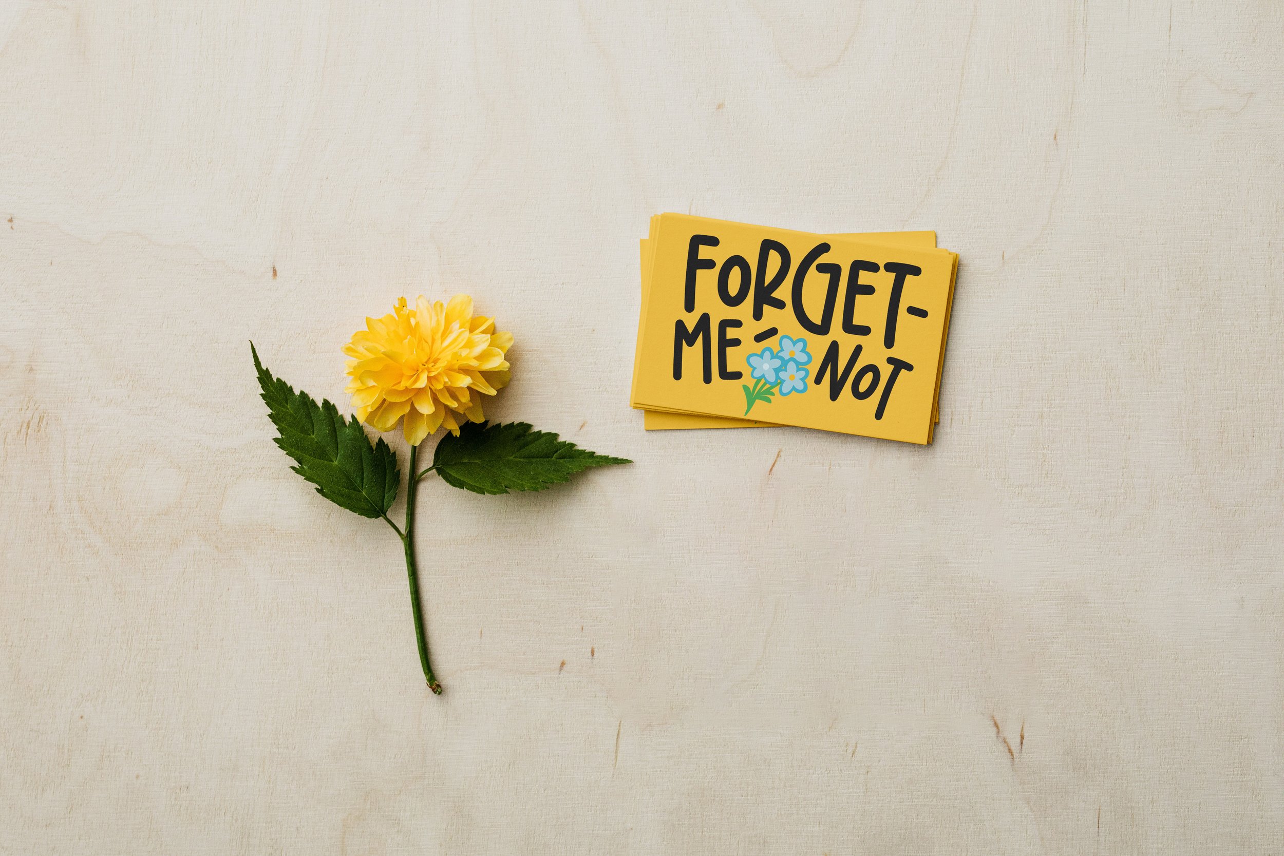 forget me not3.jpg