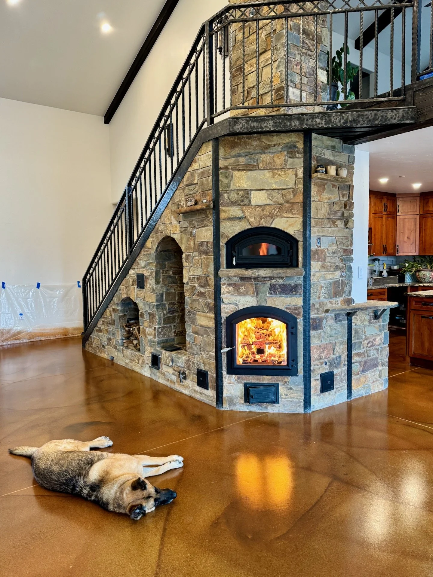 Dog in front of warm fireplace
