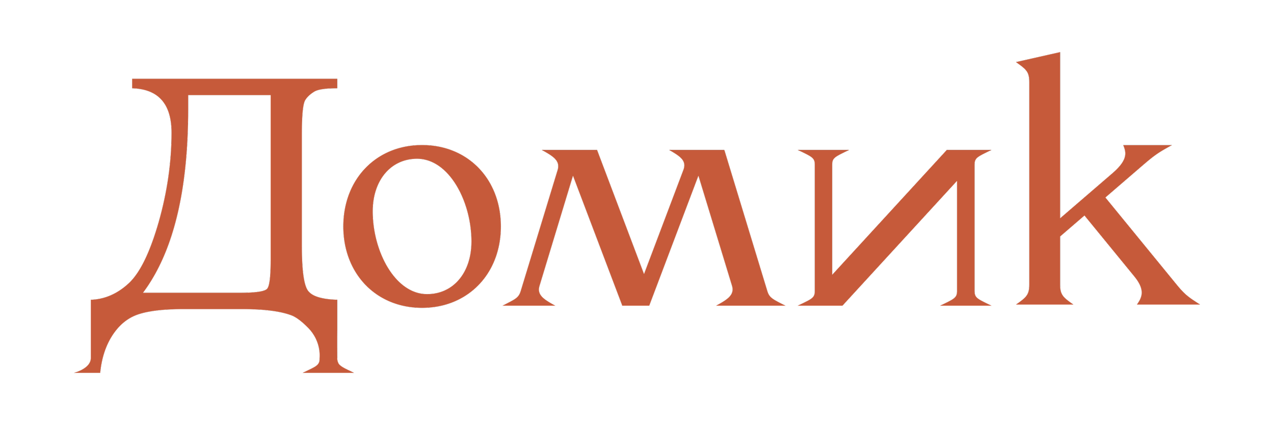 Domik_Logo-2 copy.webp