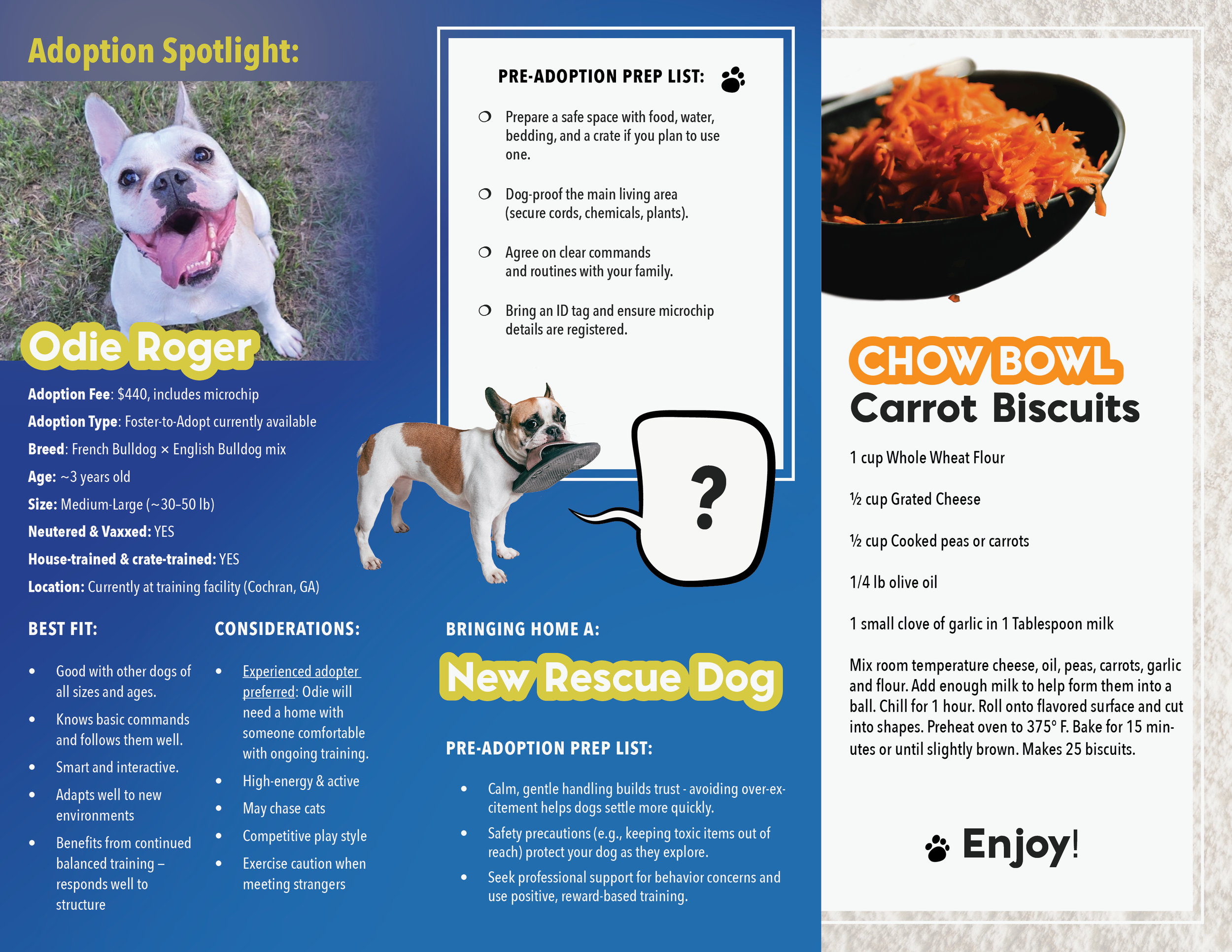 Tri-Fold-Brochure_BTRET_Stacy2.webp