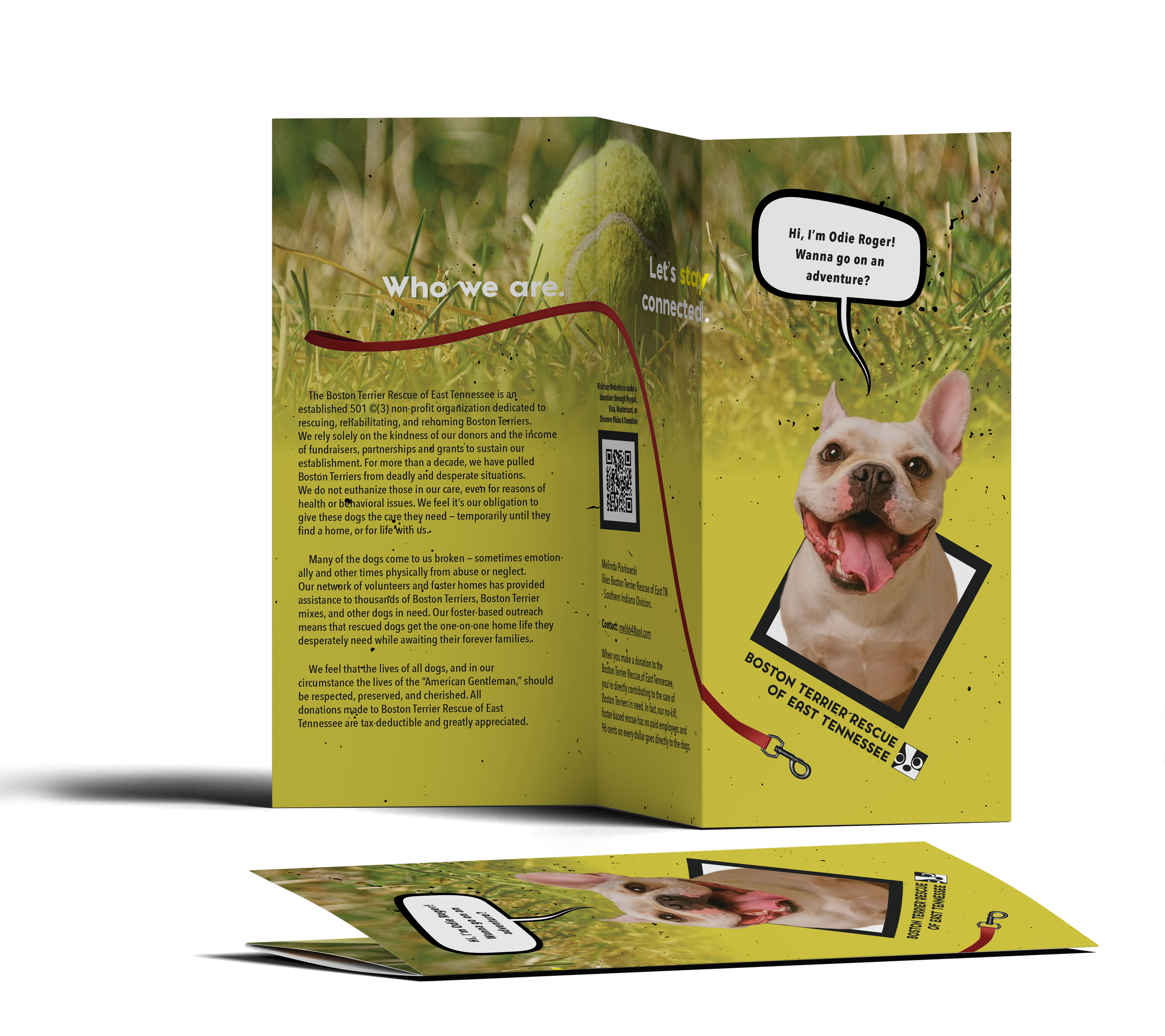 BTRET | Tri-Fold Brochure