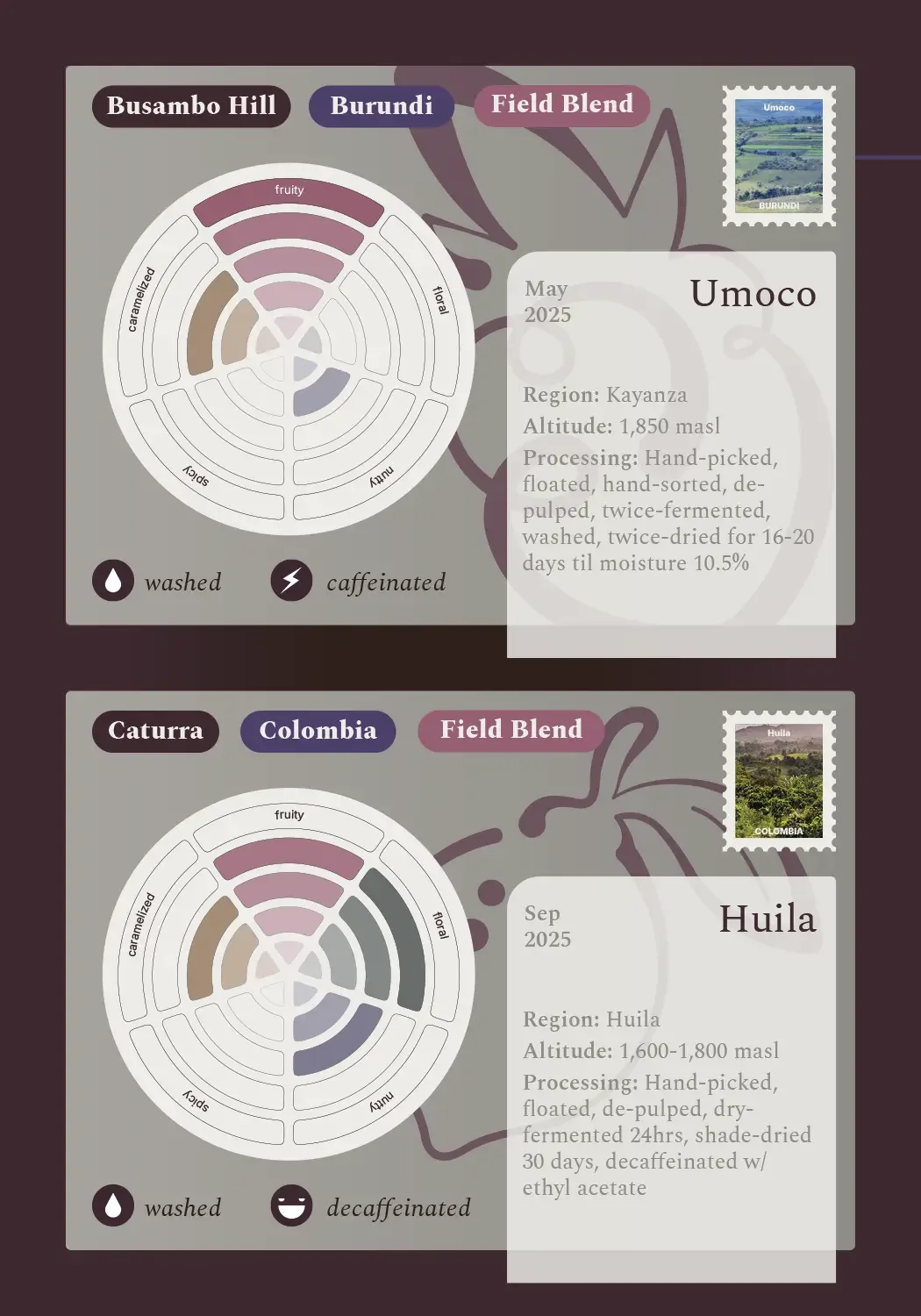 Sey-Coffee_Pocket-Coffee-Guide-14.webp