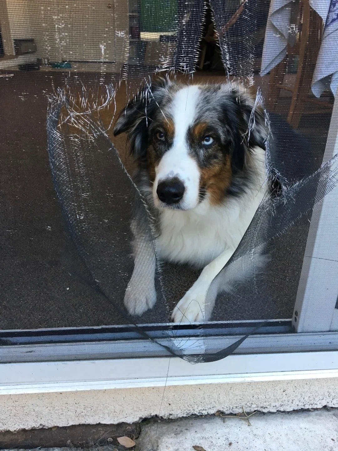 tsfah94i41e01 (2) 2.jpg