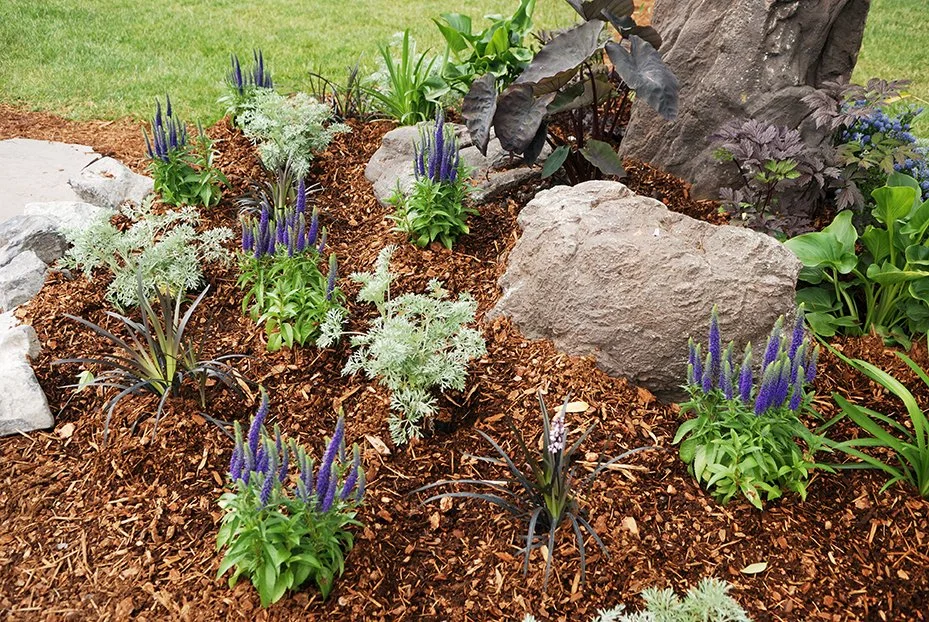 100% Aromatic Cedar Mulch (Select bag quantity at checkout)