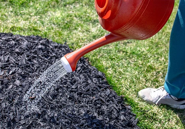 Premium Black Colored Mulch (Select bag quantity at checkout)