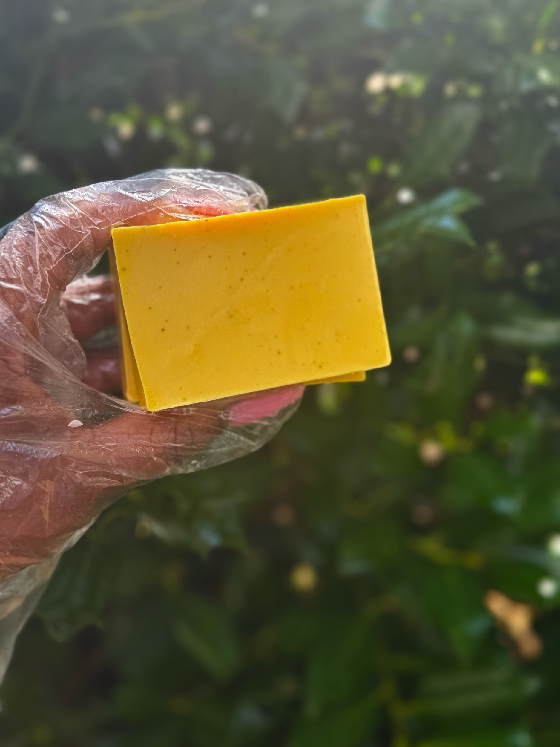 Golden Turmeric Bar