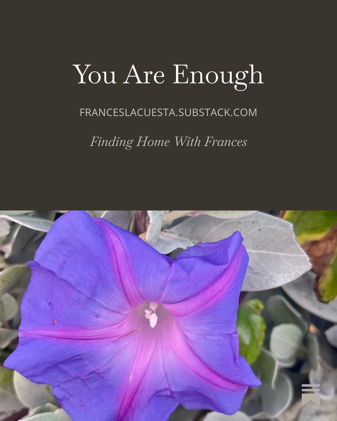 I&rsquo;ve been reflecting on how deeply the belief of not being enough can influence the choices we make and the spaces we occupy.

It shows up in the moments we hold our voices back when we long to speak.
In the relationships we stay in long after 